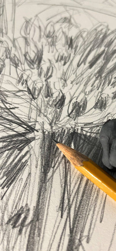 theflyingbirdnest art