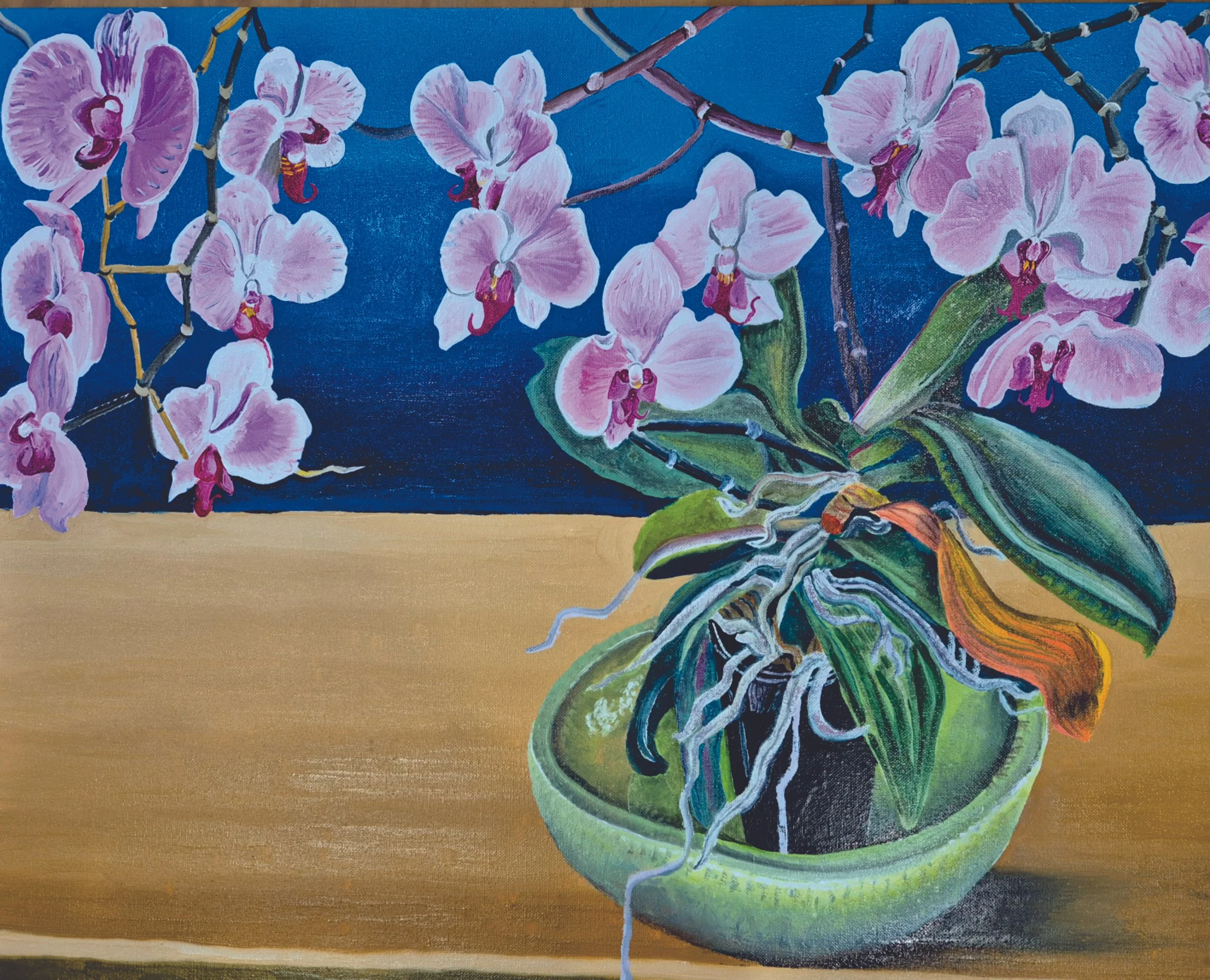 orchids