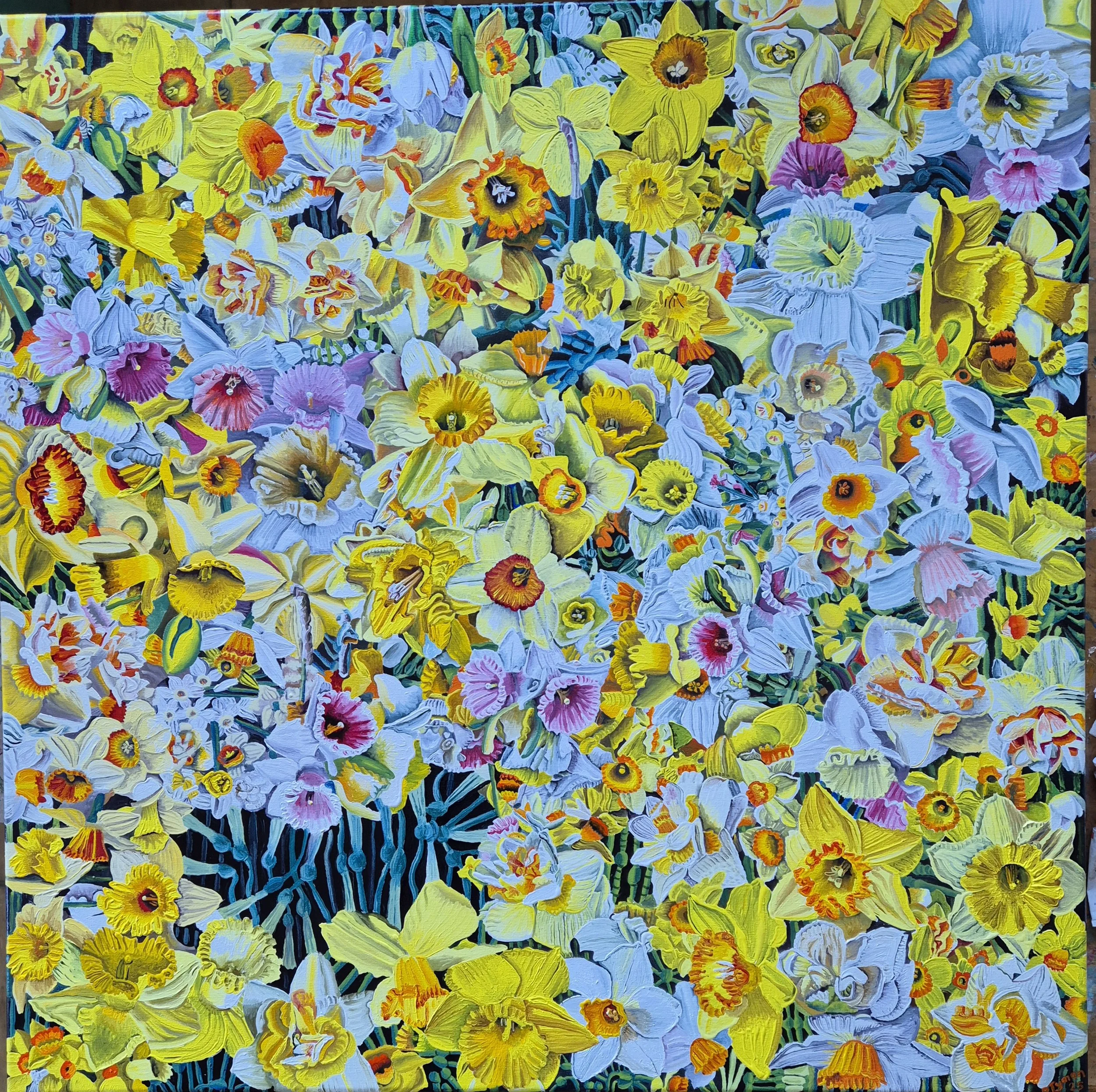 Taniwha Daffodils
