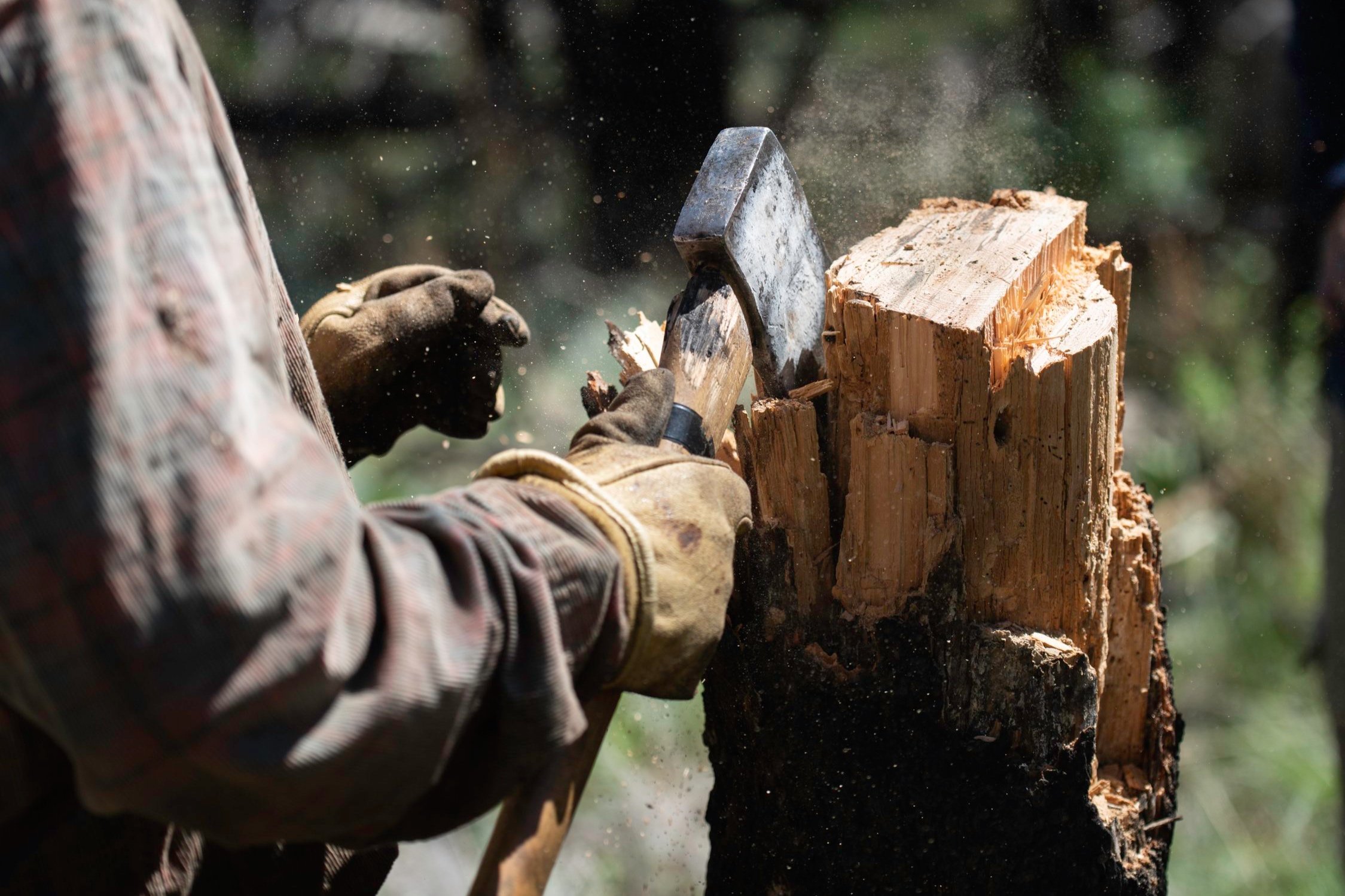  Ben Skidmore chops off the rotten exterior of a snag, a burned tree, demonstrating the hazards of felling them at Philmont Scout Ranch in Cimarron, N.M. on July 12, 2022. Skidmore spent the day teaching conservation staff how to fell hazard trees as