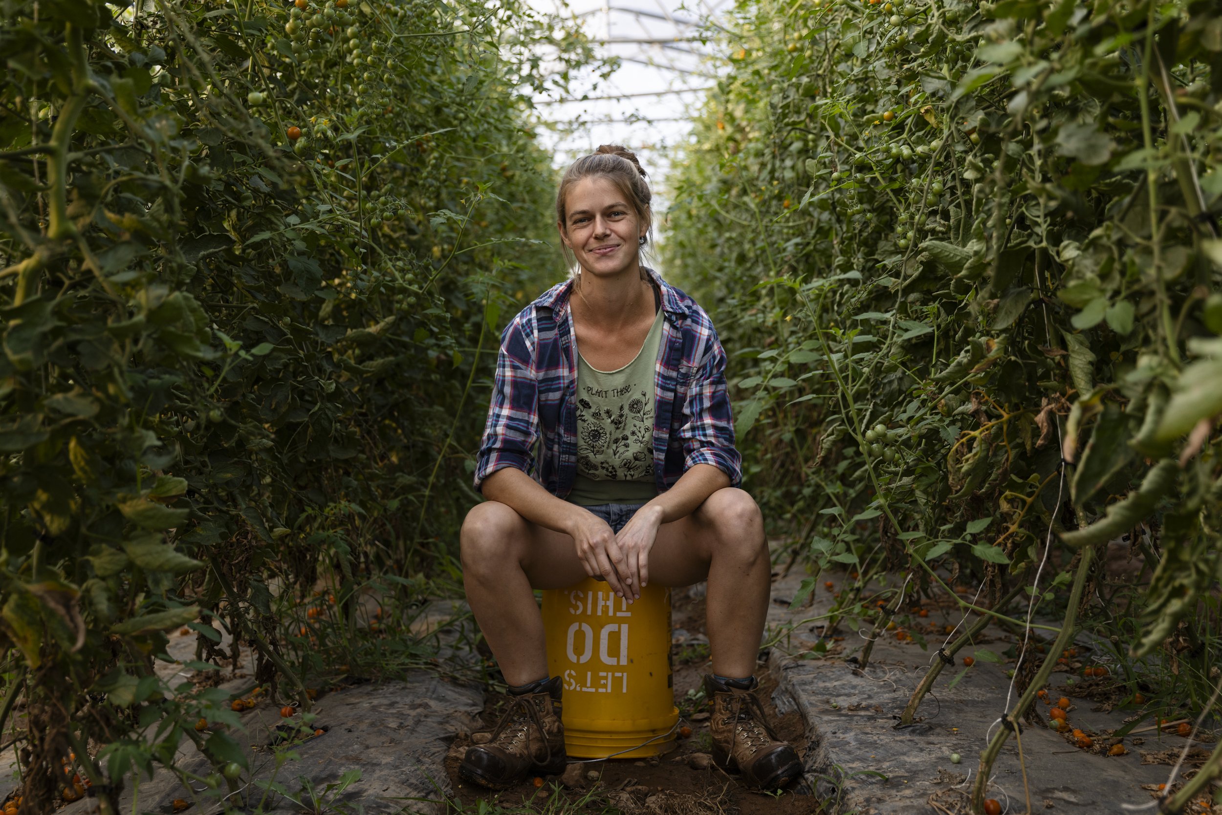  Emma Jagoz sits in one of Moon Valley's seven high tunnels used for growing sungold tomatoes at Moon Valley Farm in Woodsboro, Md., on Aug. 9, 2023. "I think it's really important for farmers like me, and the farmers that we work with, to continue t