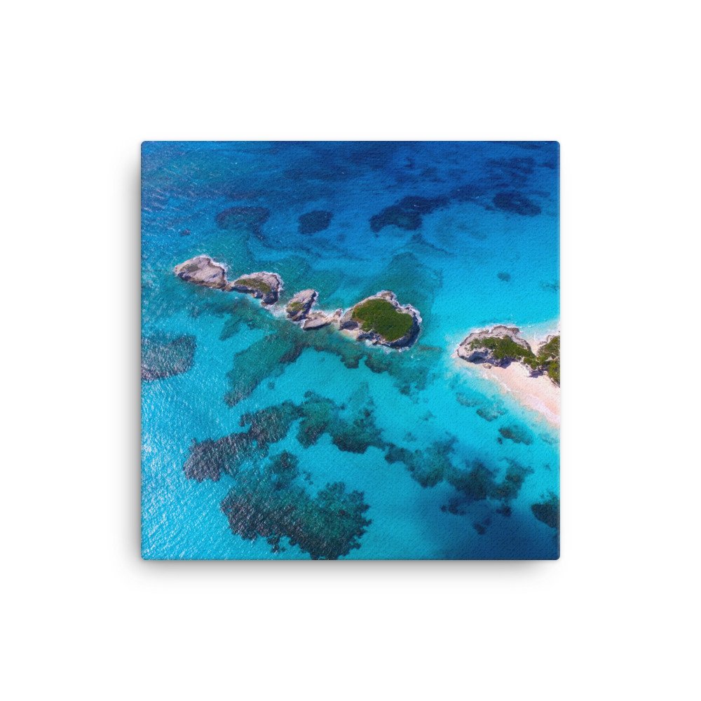 canvas-(in)-16x16-wall-61c408c524764.jpg