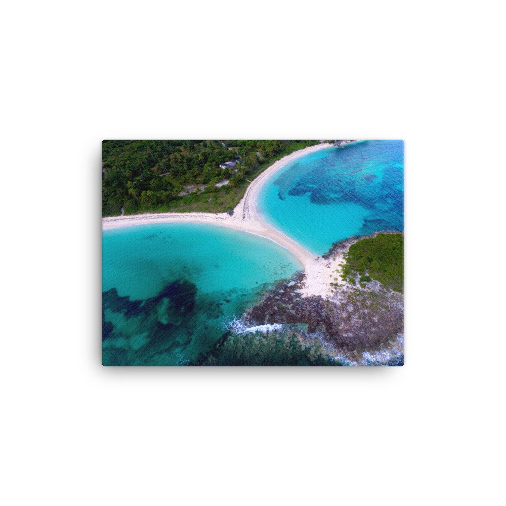canvas-(in)-12x16-wall-61c40e78036c1.jpg