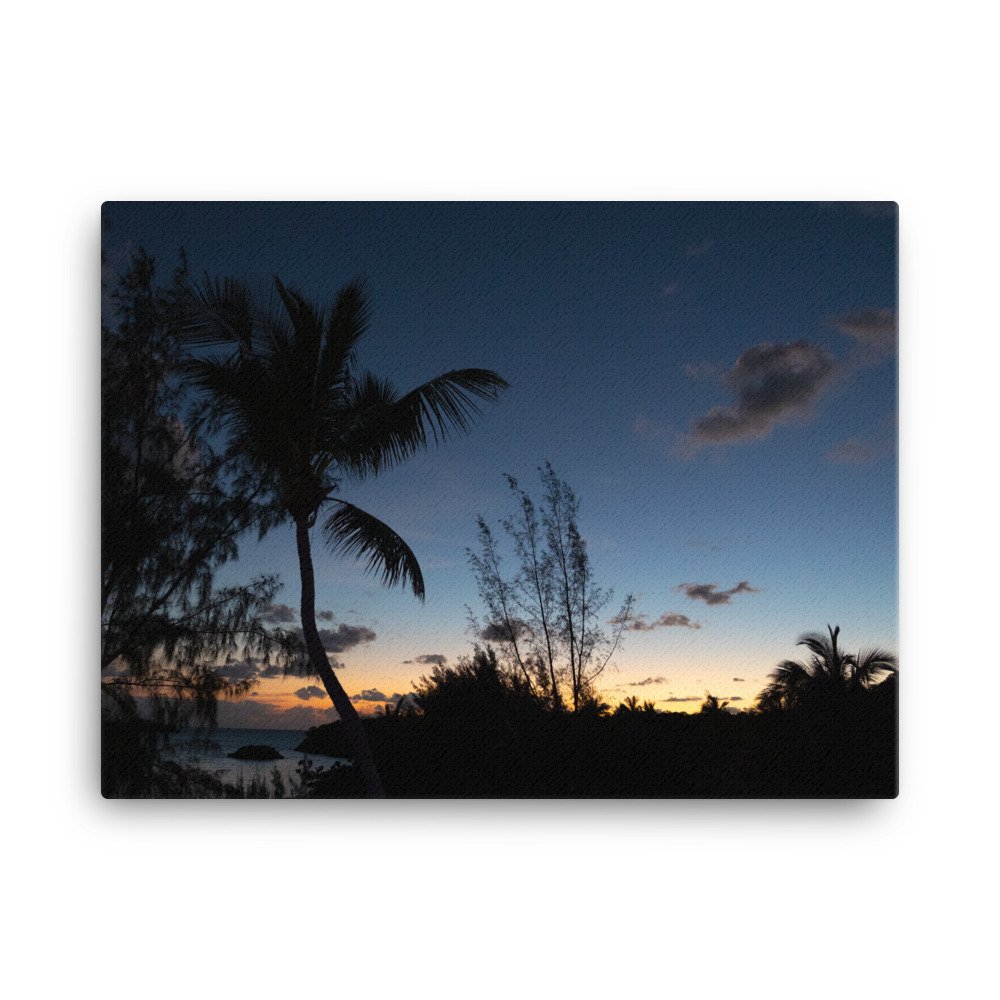 canvas-(in)-18x24-wall-6271f2c57b443.jpg