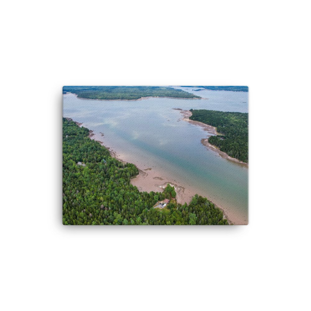 canvas-(in)-12x16-wall-6355a18f51e3d.jpg