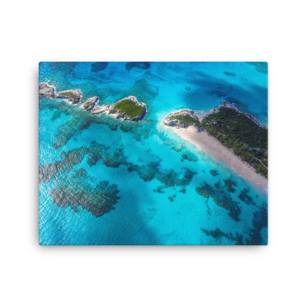 canvas-(in)-16x20-wall-6355d62a66506.jpg