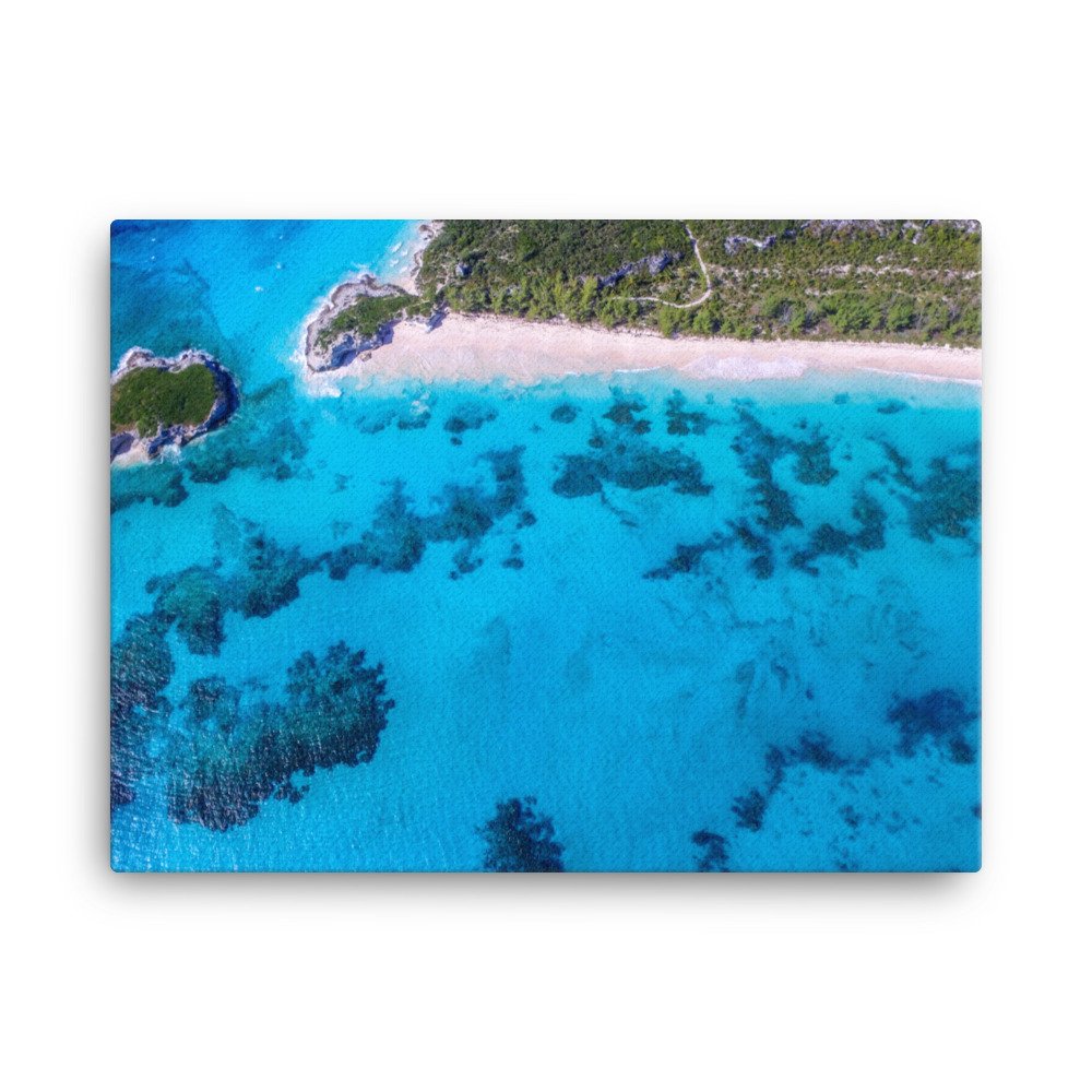 canvas-(in)-18x24-wall-6355e3ce5155b.jpg