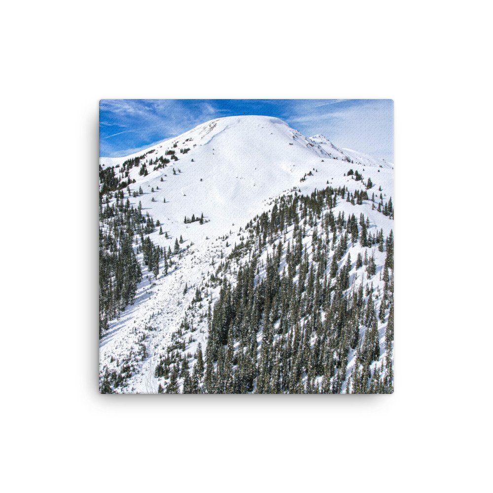 canvas-(in)-16x16-wall-6586f37df091e.jpg