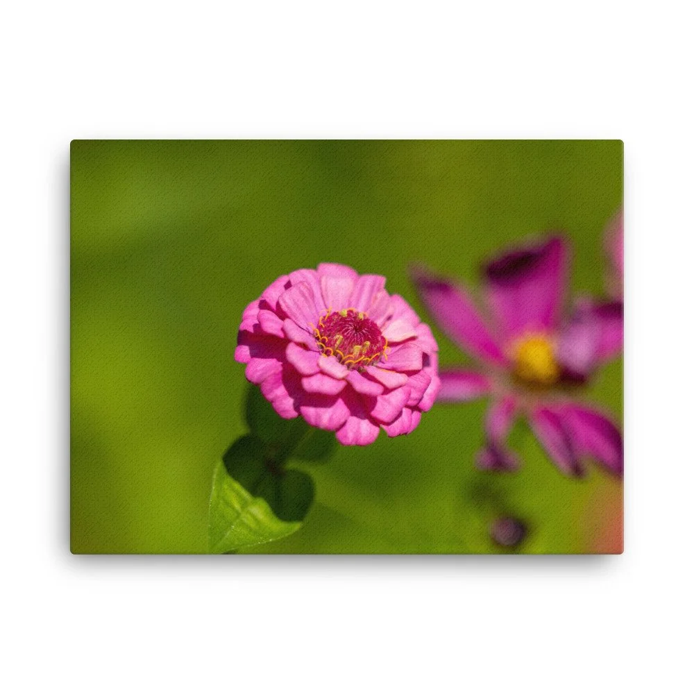 canvas-(in)-18x24-wall-658ce55b48ee1.jpg