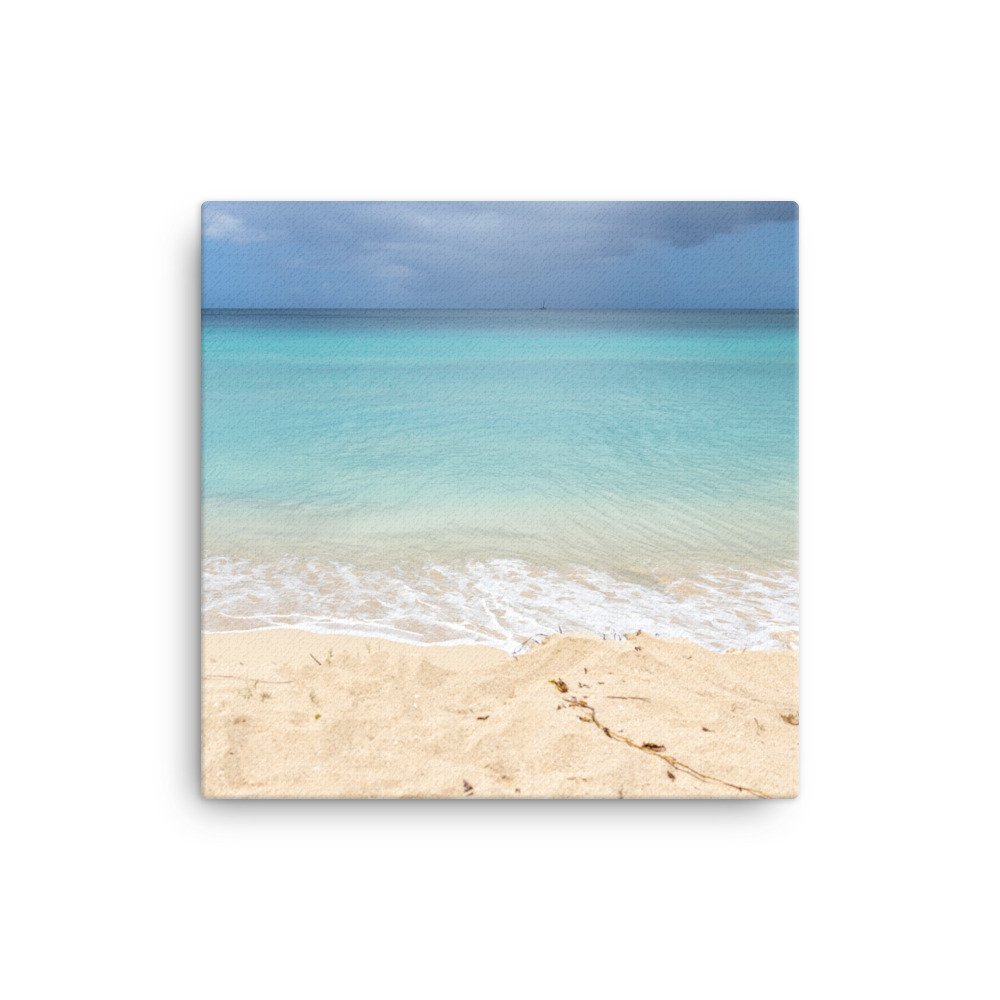 canvas-(in)-12x12-wall-658dac92e100a.jpg
