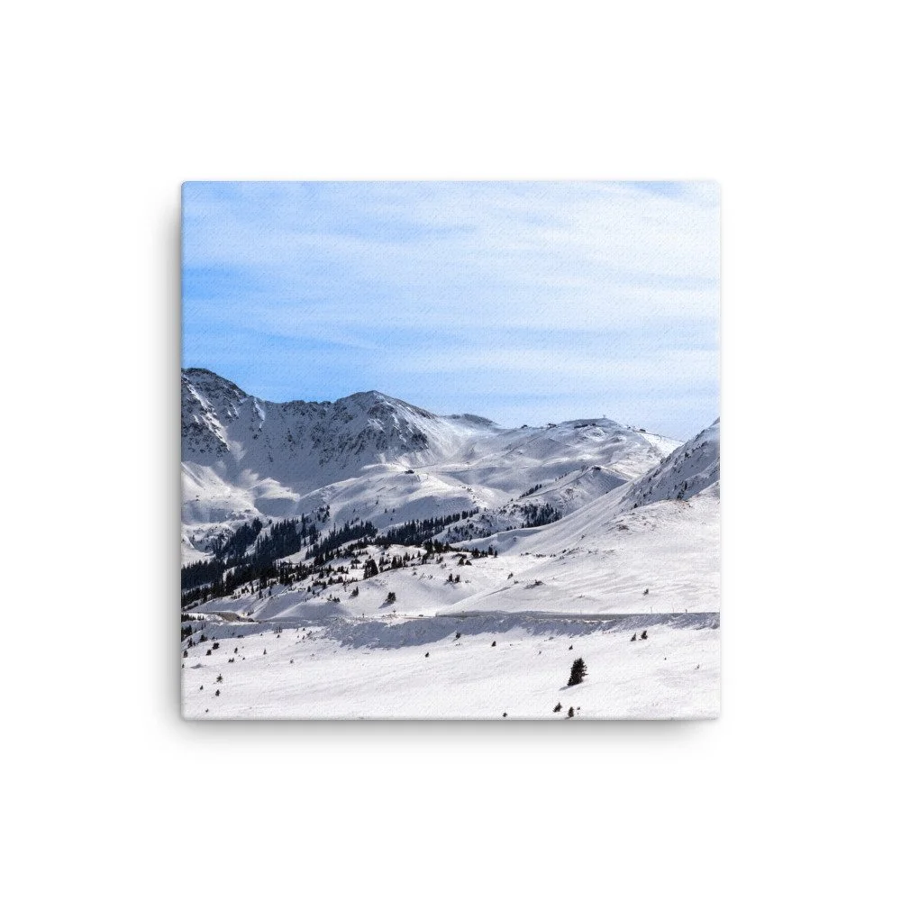 canvas-(in)-16x16-wall-658dc5cd22485.jpg