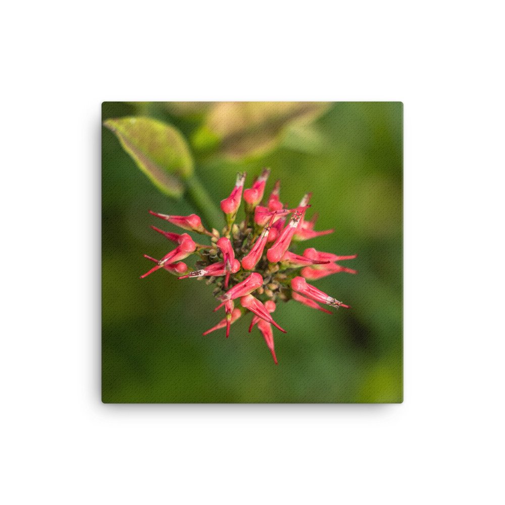 canvas-(in)-12x12-wall-6592d61c67c2b.jpg
