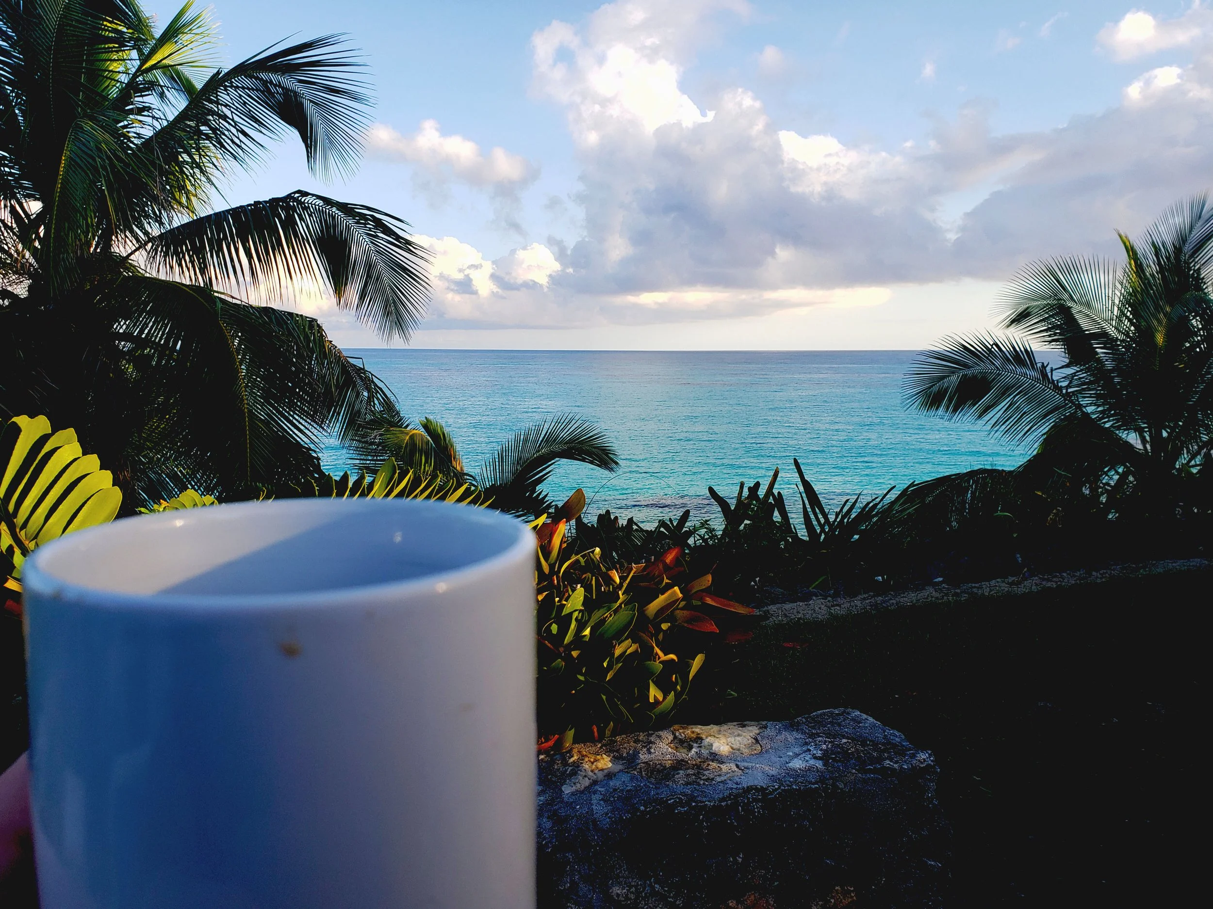 Coffee by the Ocean - Heron Hill House