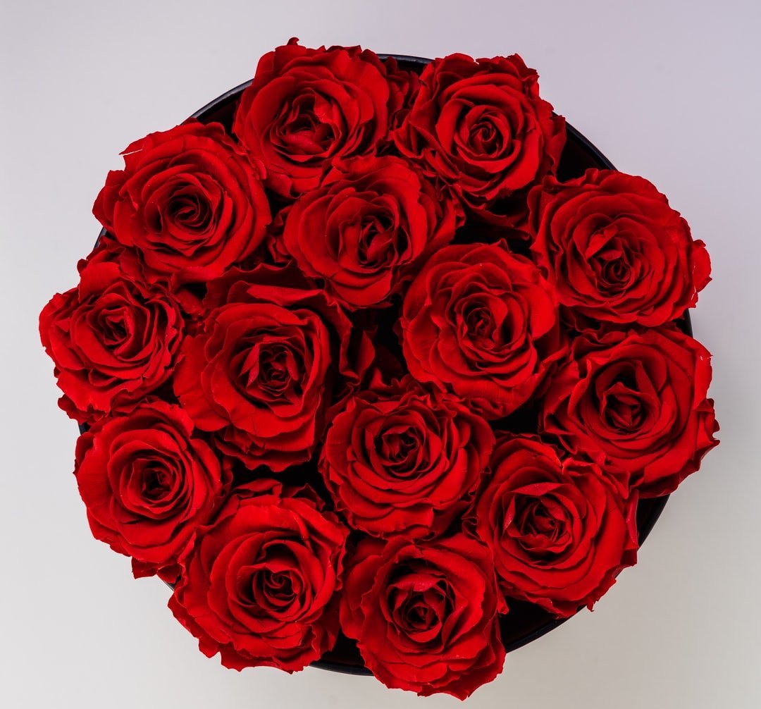 Valentine's Day Rose Distribution