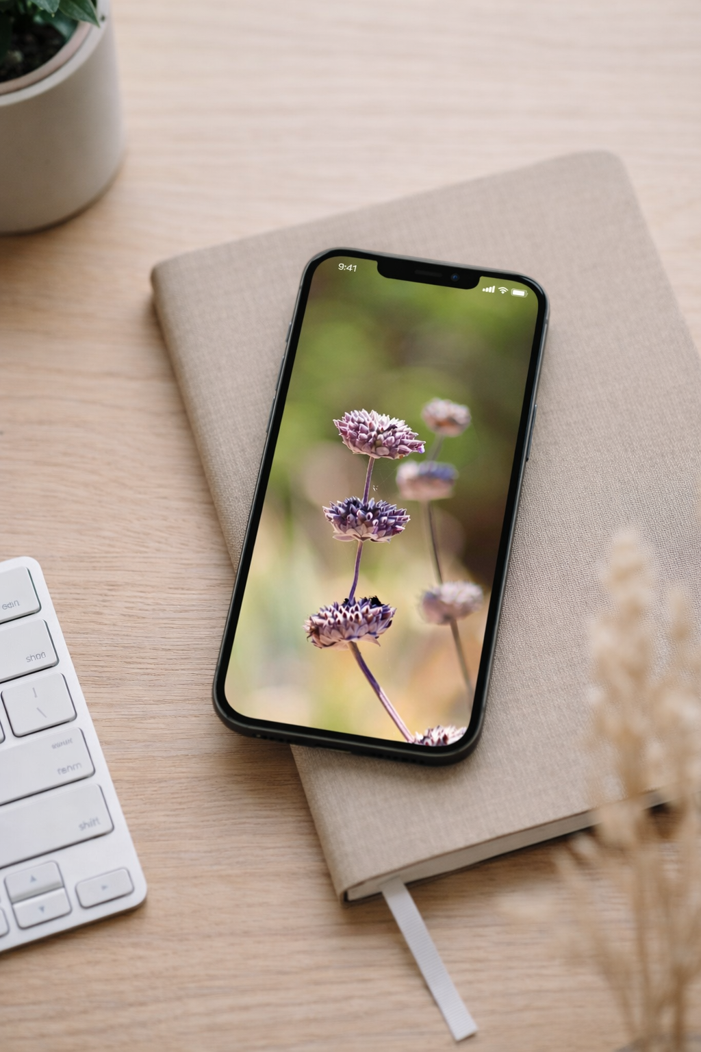 ChatGPT Image Feb 24, 2026, 05_00_33 PM.png