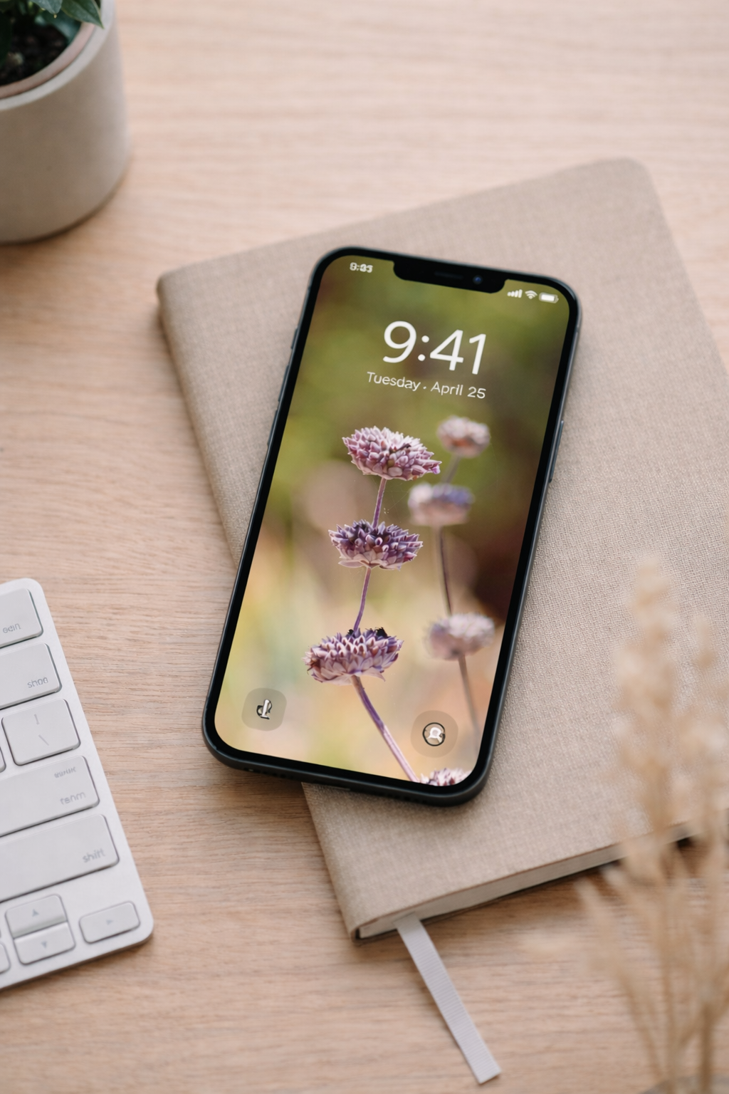 ChatGPT Image Feb 24, 2026, 05_02_23 PM.png