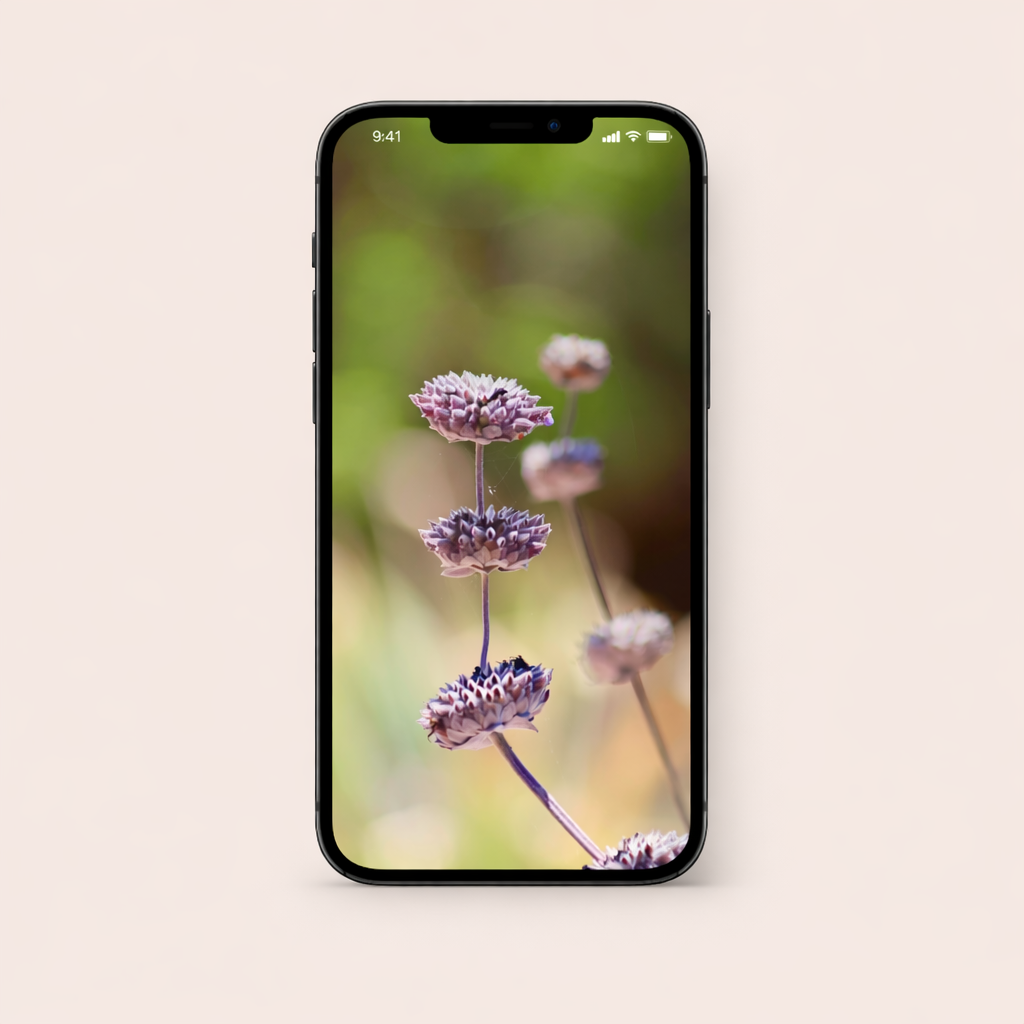 Photo Mockup of Lockscreen Photo.png