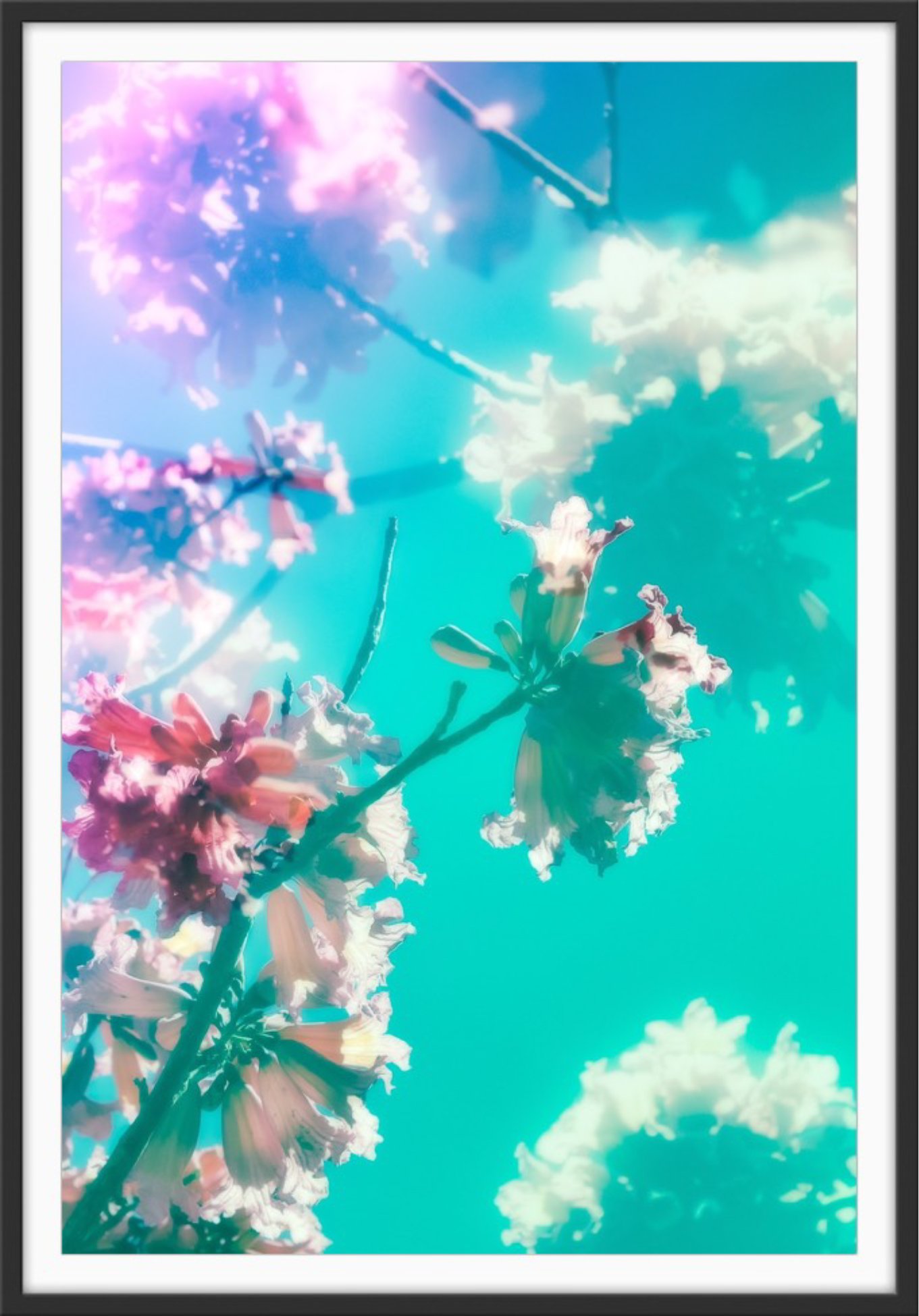 Kristin Hart Photograph what I dream of