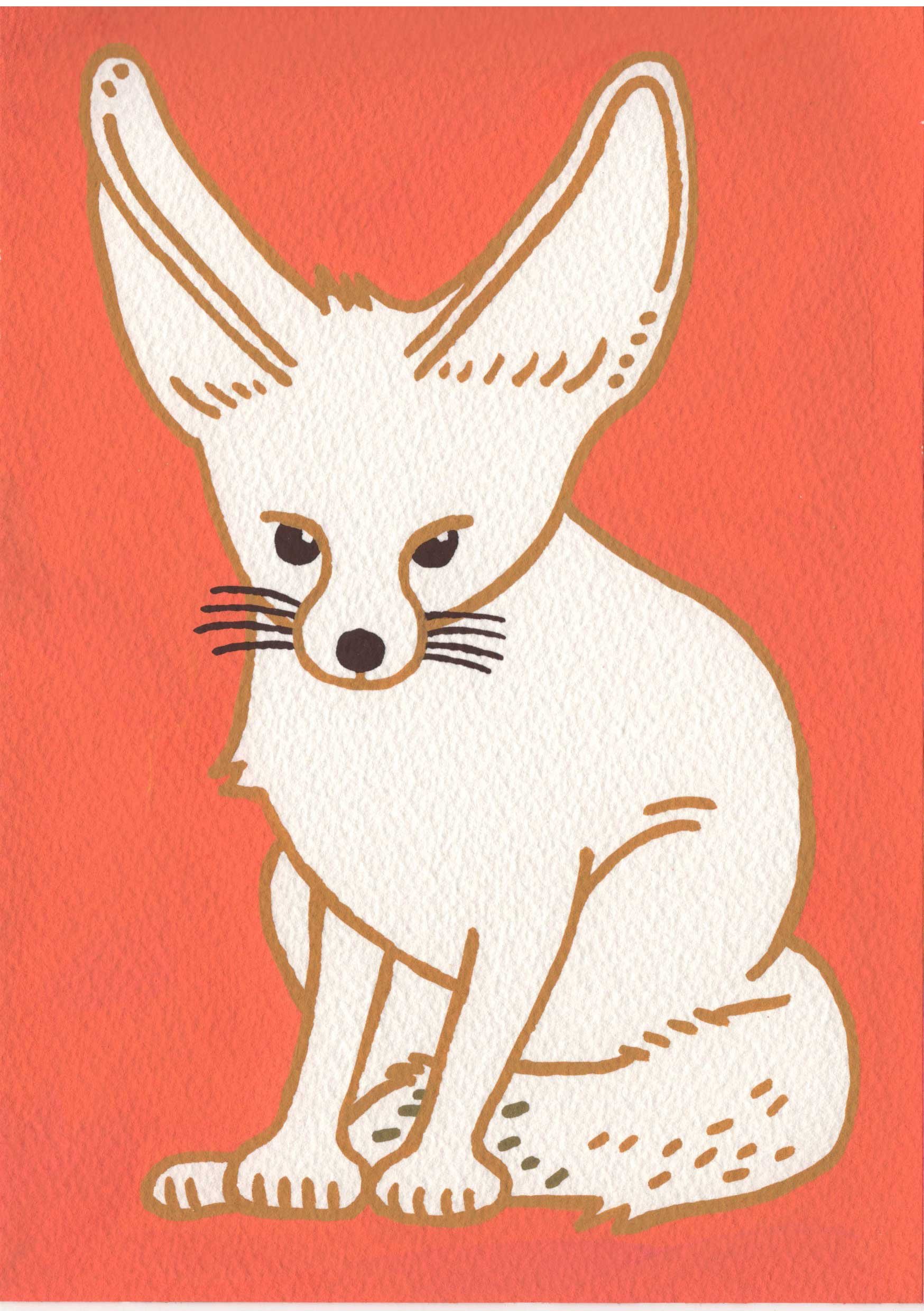 Fennec-Fox.jpg