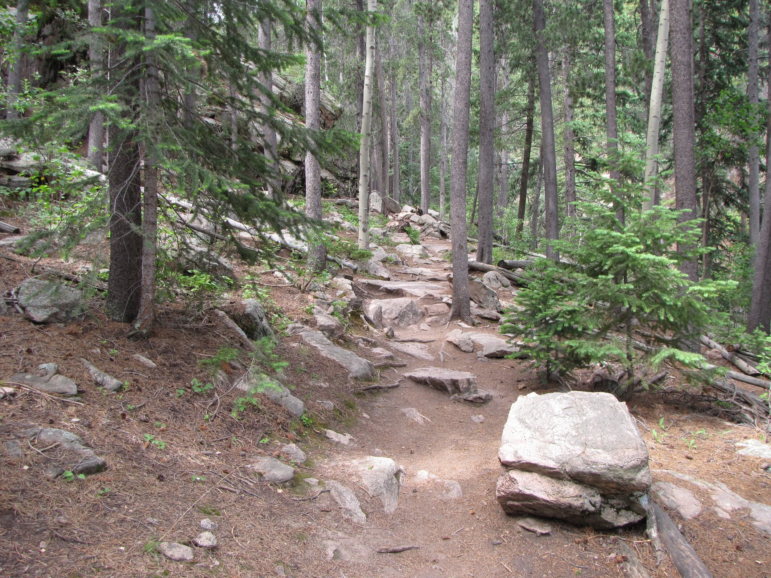 MaxwellFallsIMG_0441.jpg