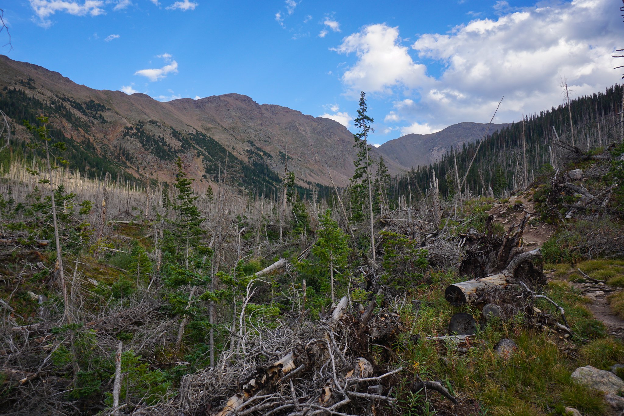 DSC04178-2.jpg