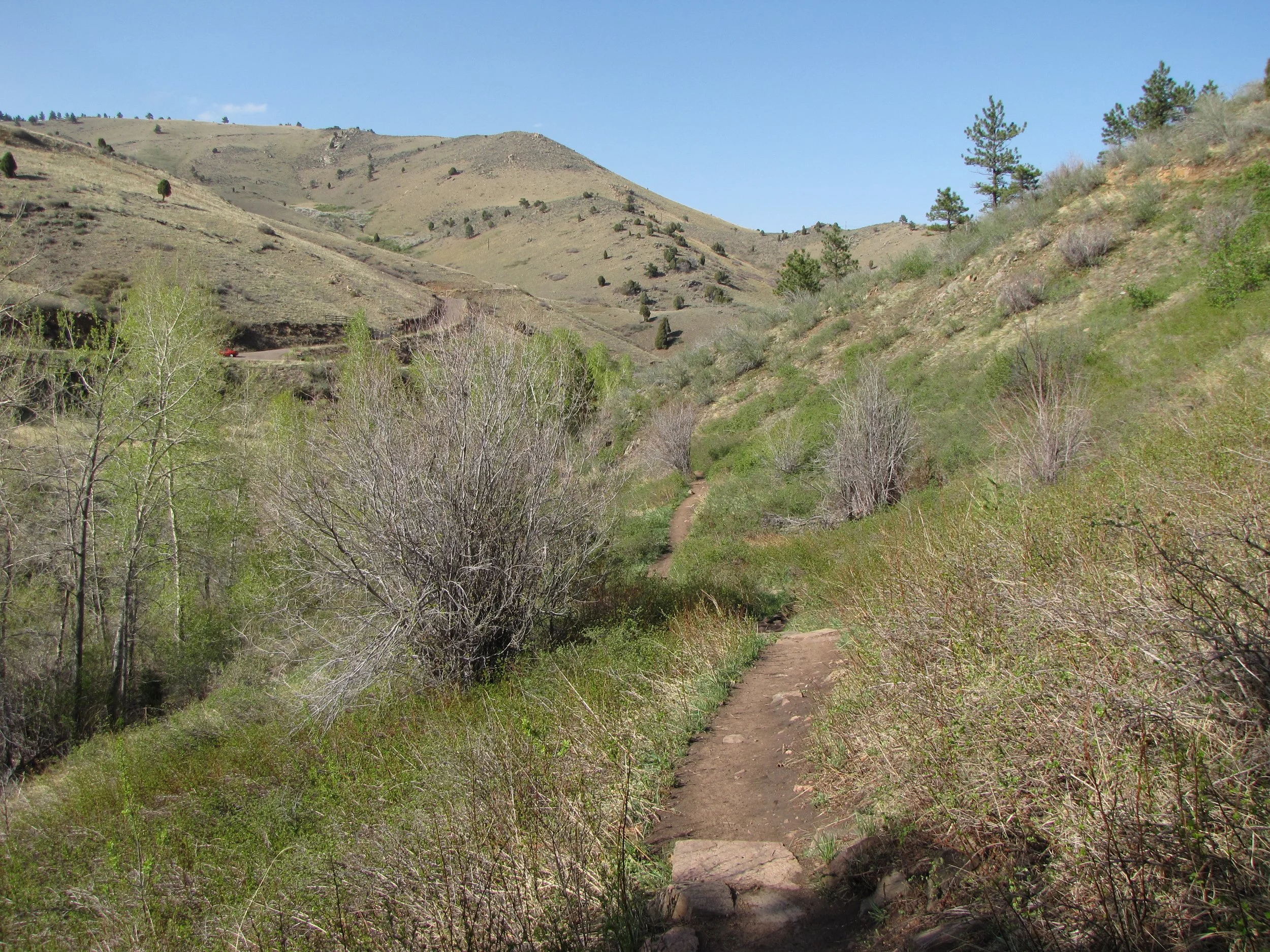 CedarGulchIMG_7243.jpg