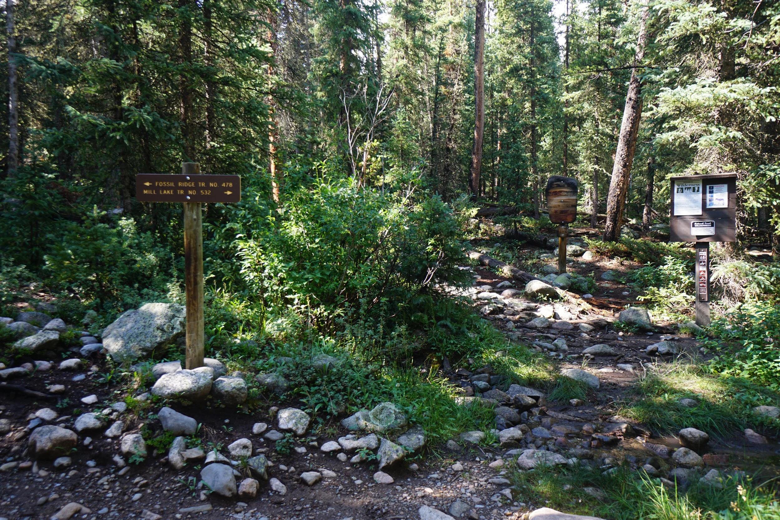 MillLakeDSC03858.JPG