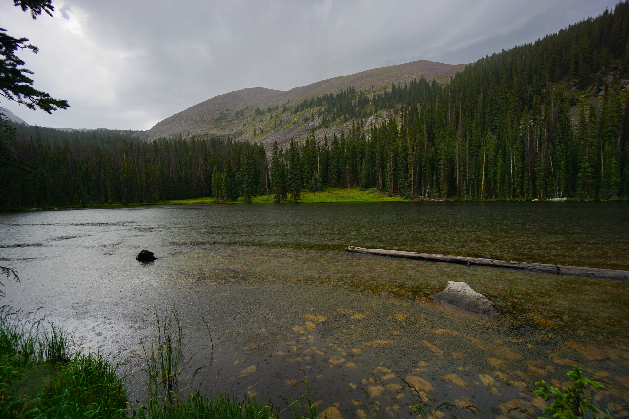 LamphierLakesDSC03714-2.jpg