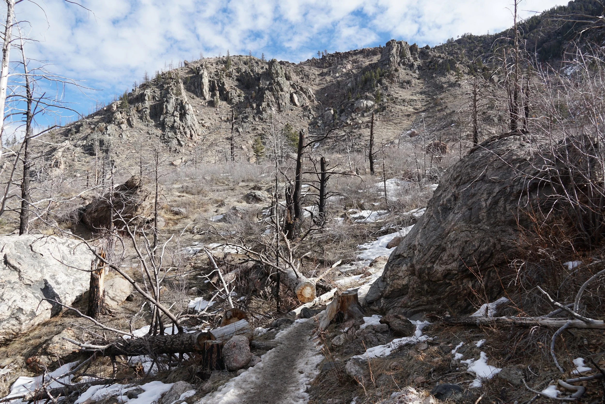 YoungGulchDSC00090-X5.jpg