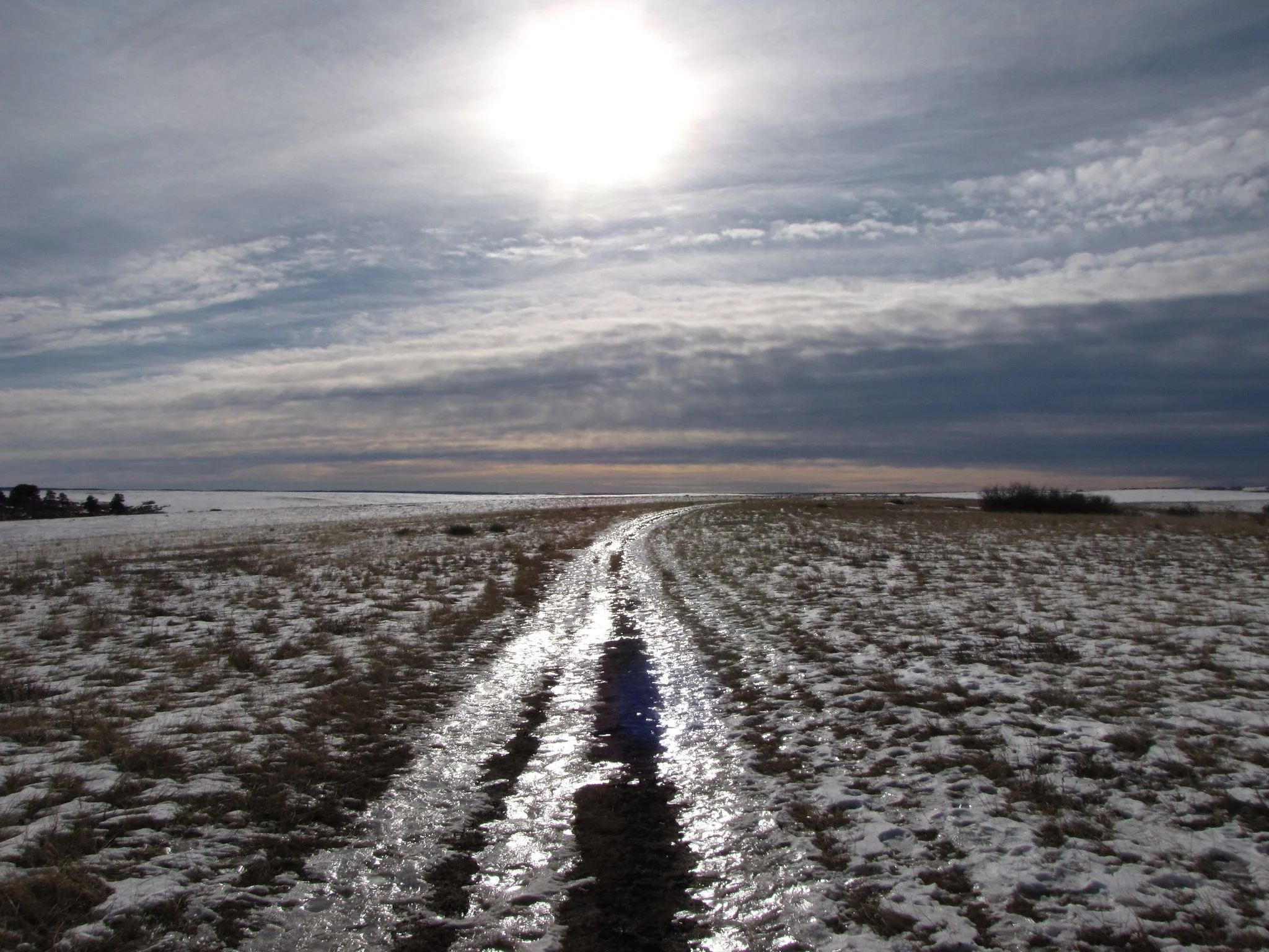 Glendale FarmIMG_7842-X4.jpg