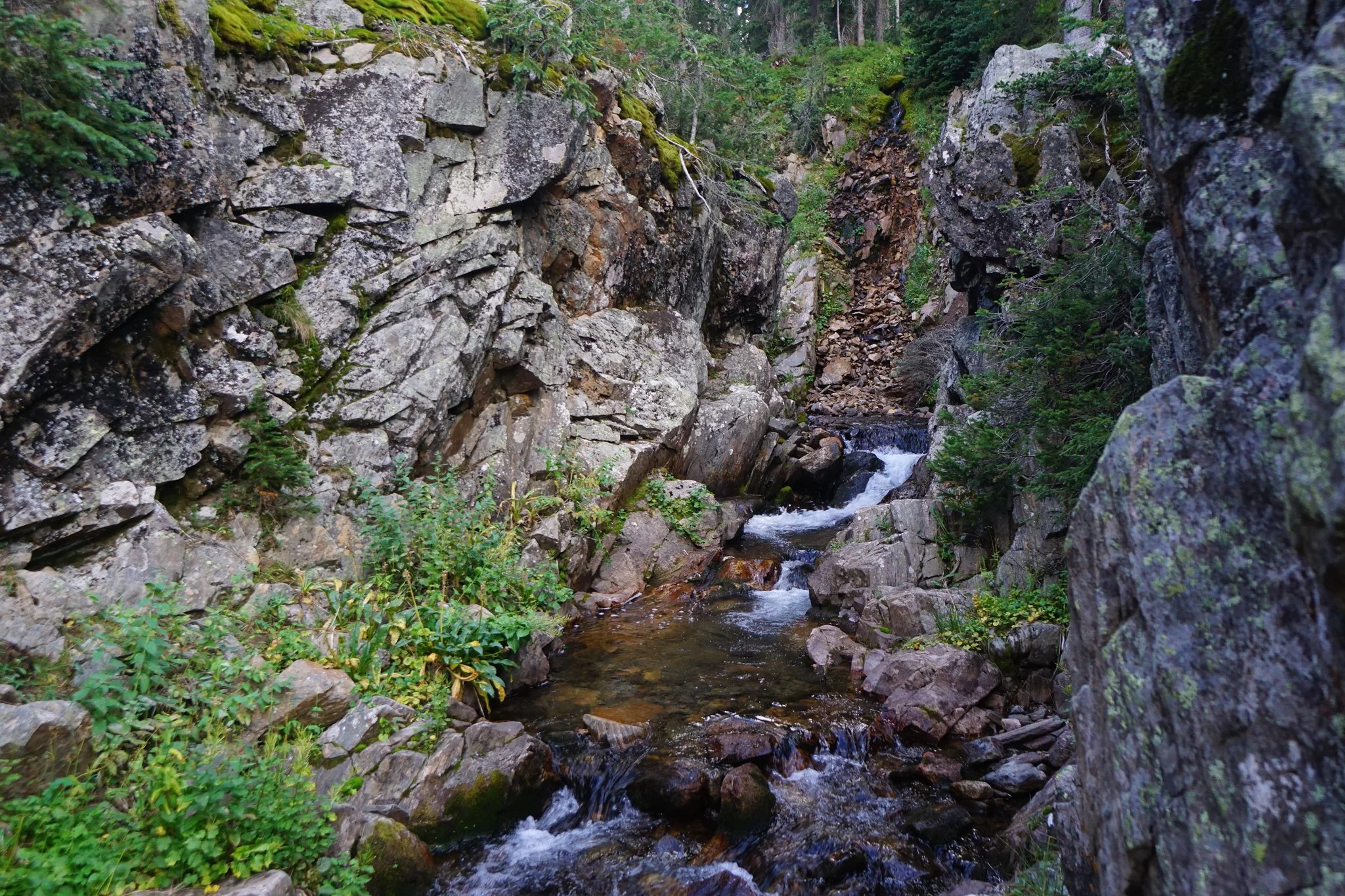 DSC04267-2.jpg