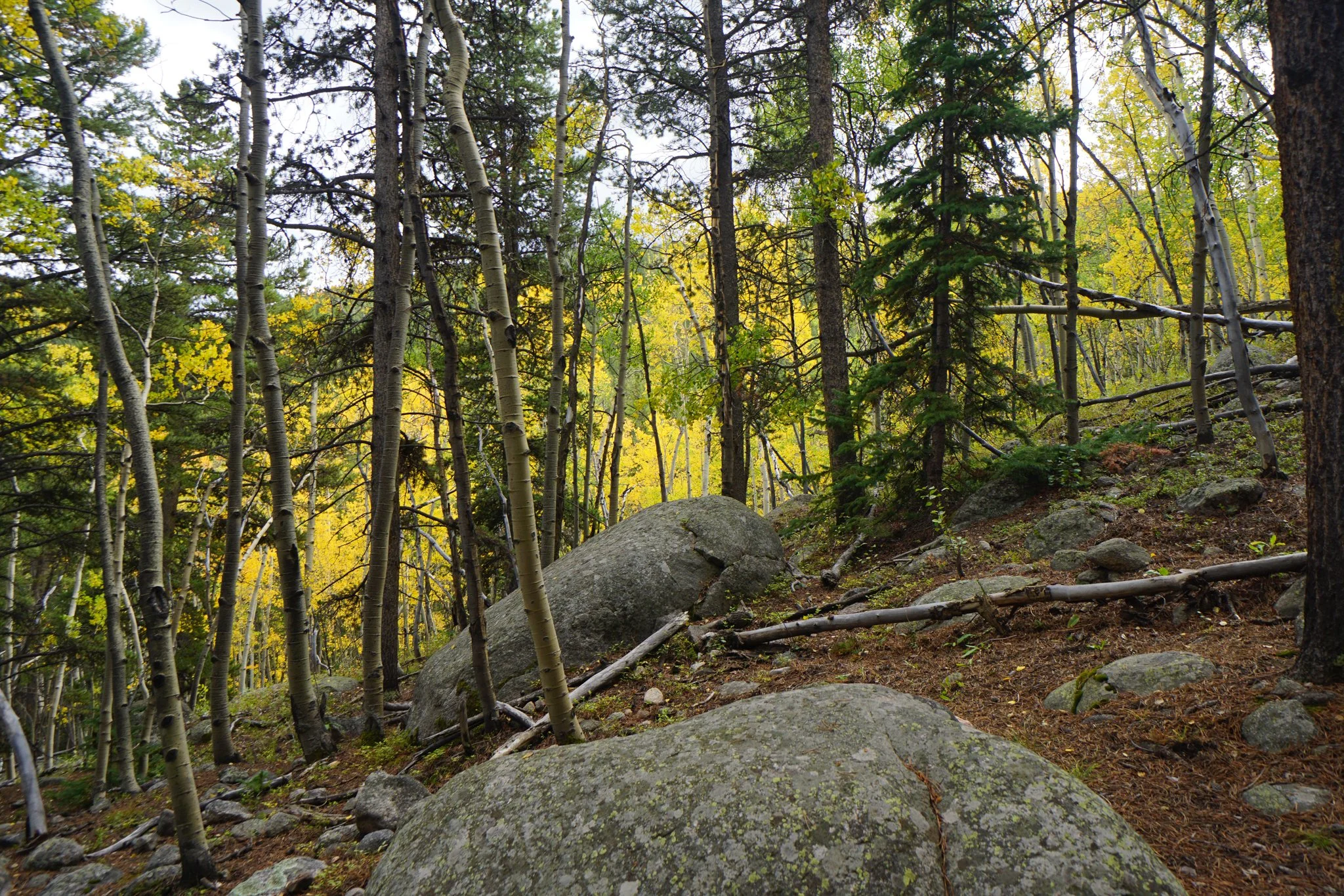 HellsHoleDSC04672-2.jpg