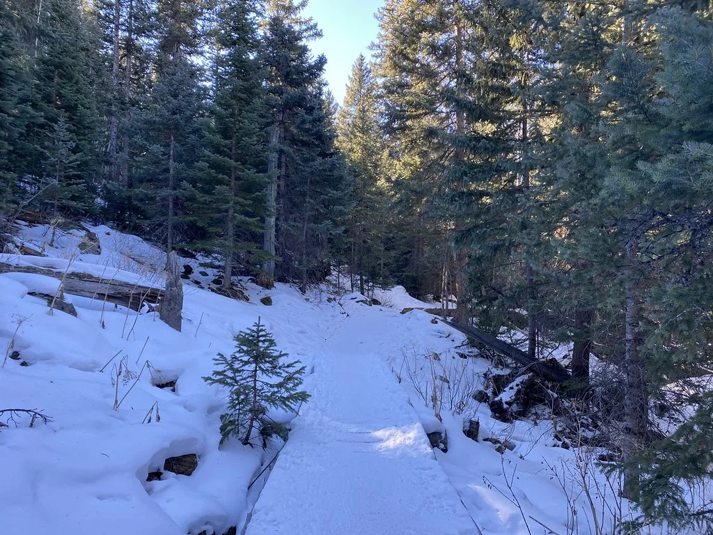 2021013116493503--2171632738918251727-IMG_0337_HEIC-XL.jpg