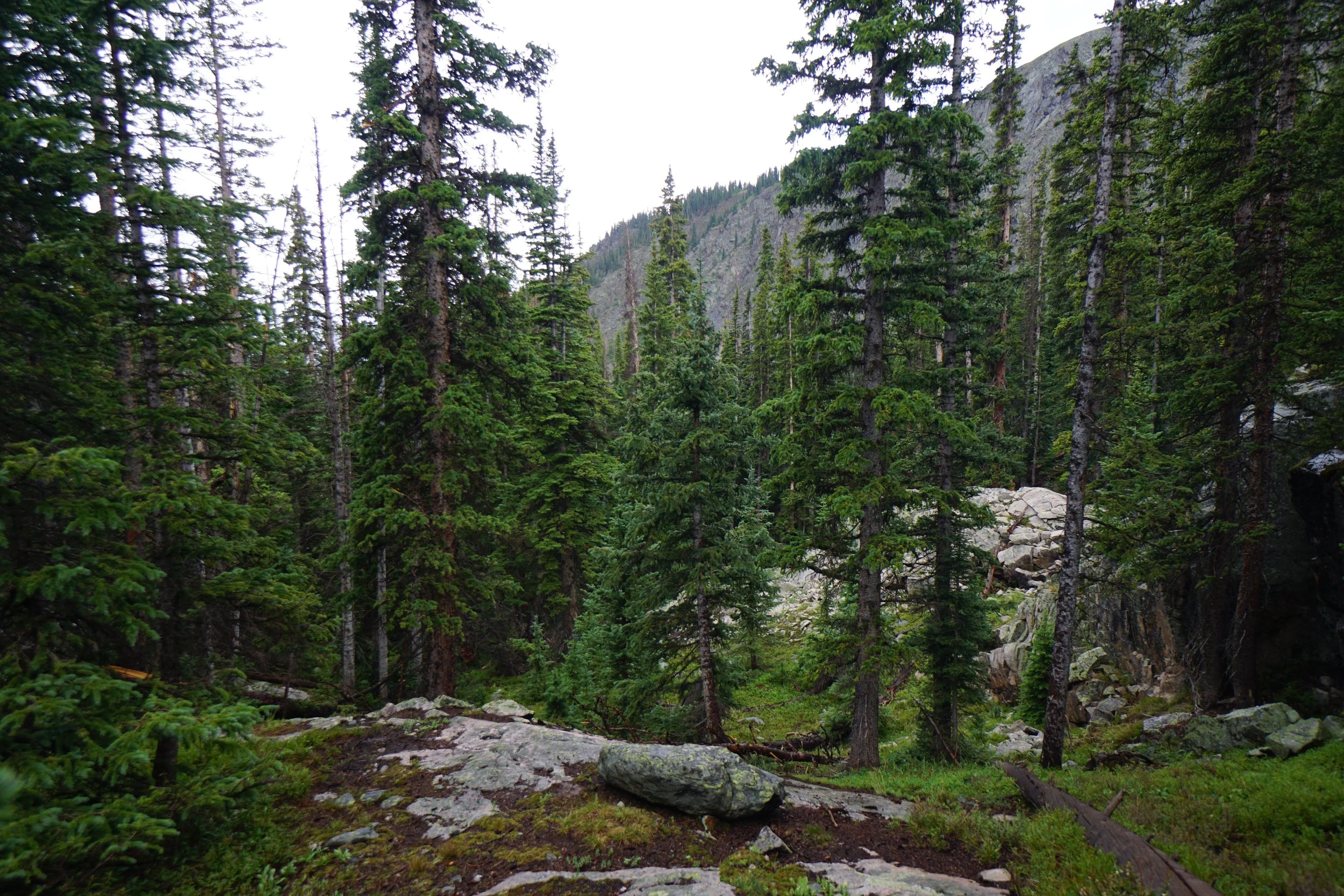 LamphierLakesDSC03733.JPG