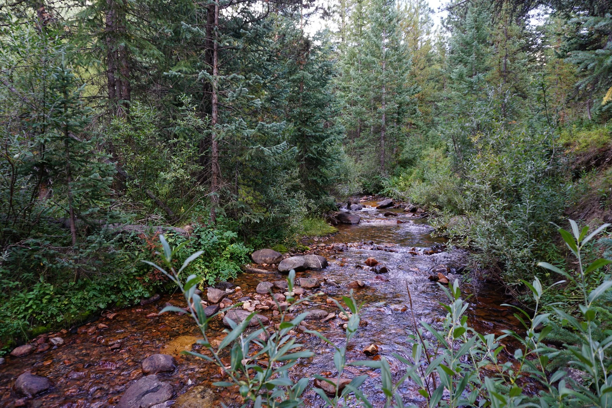 DSC04152-2.jpg