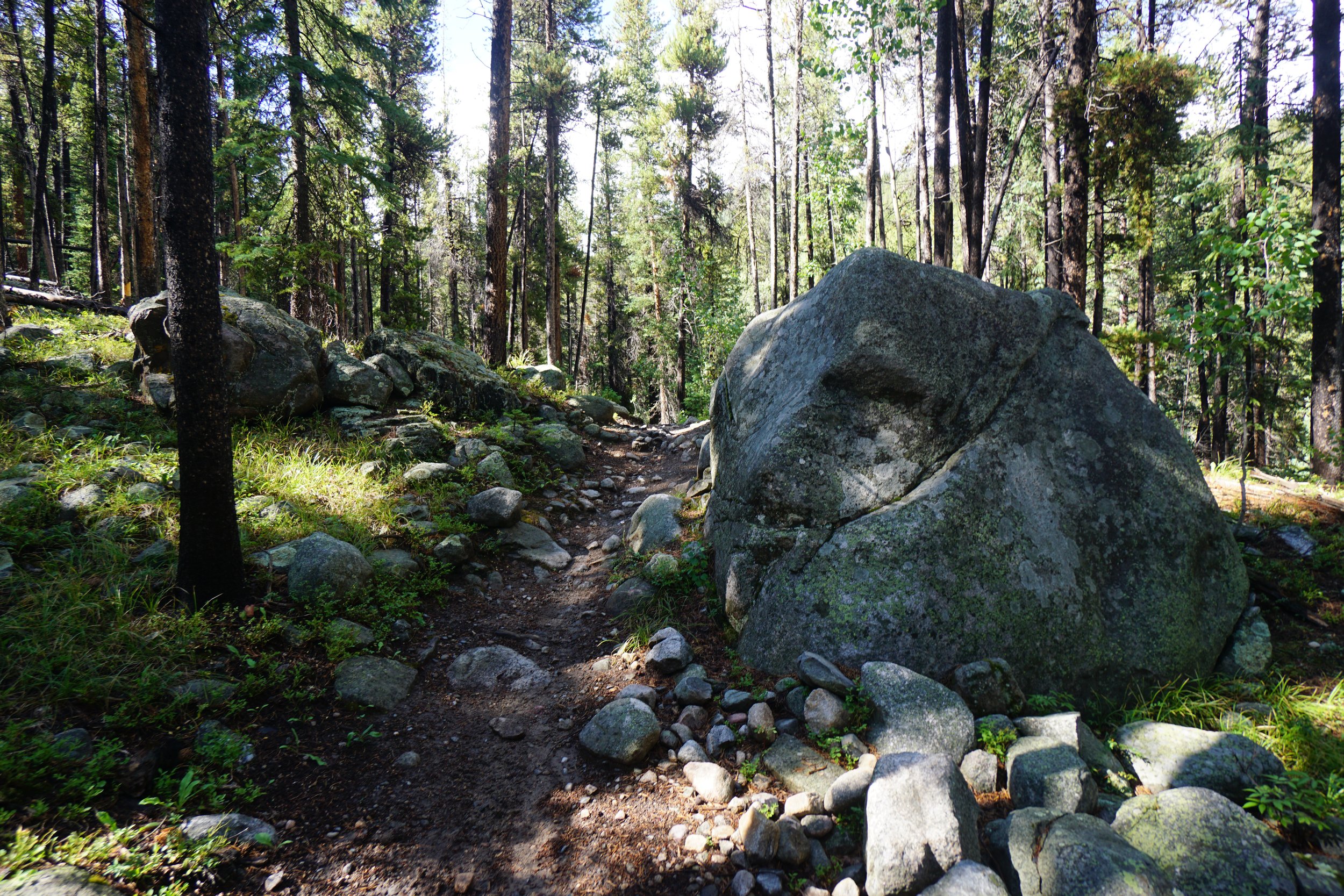 MillLakeDSC03856.JPG