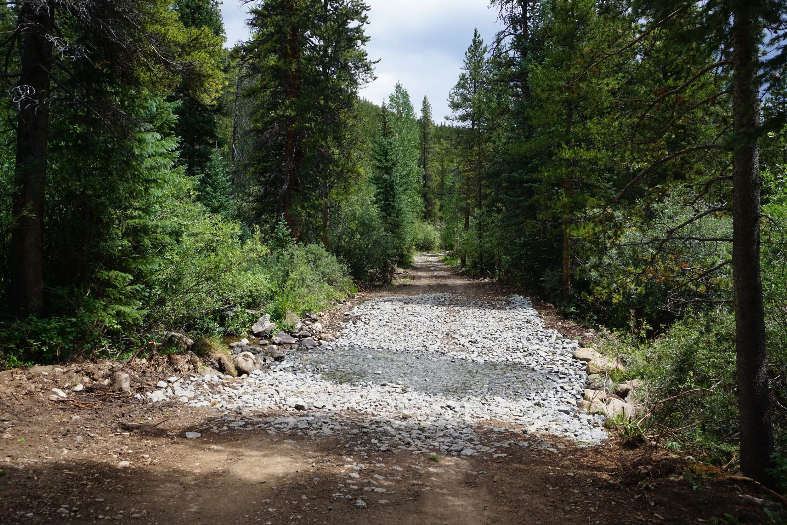 LamphierLakesDSC03675.JPG