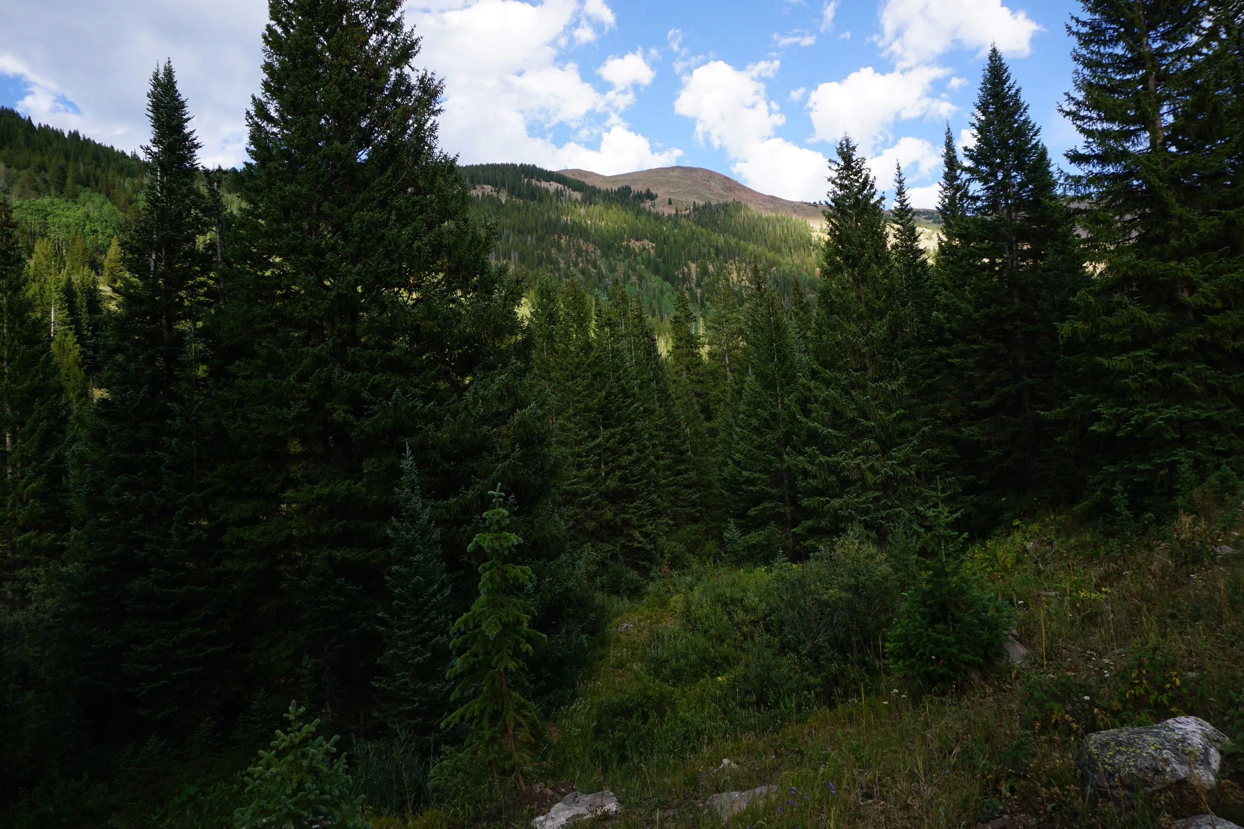 DSC04156.JPG