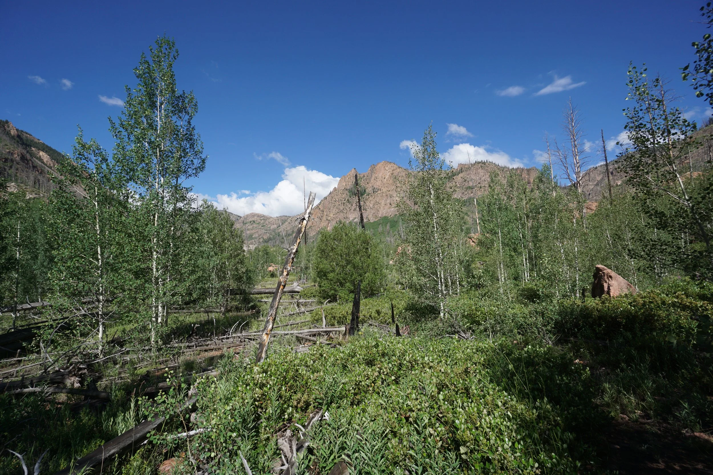 RedCanyonDSC04132.JPG