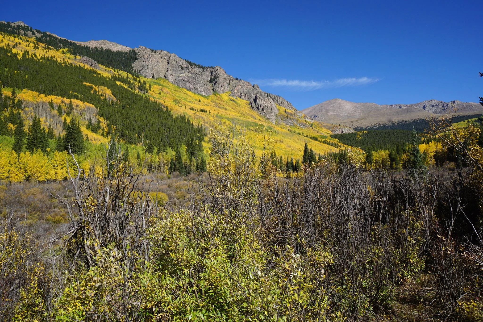 AbyssTrailDSC04811-2.jpg