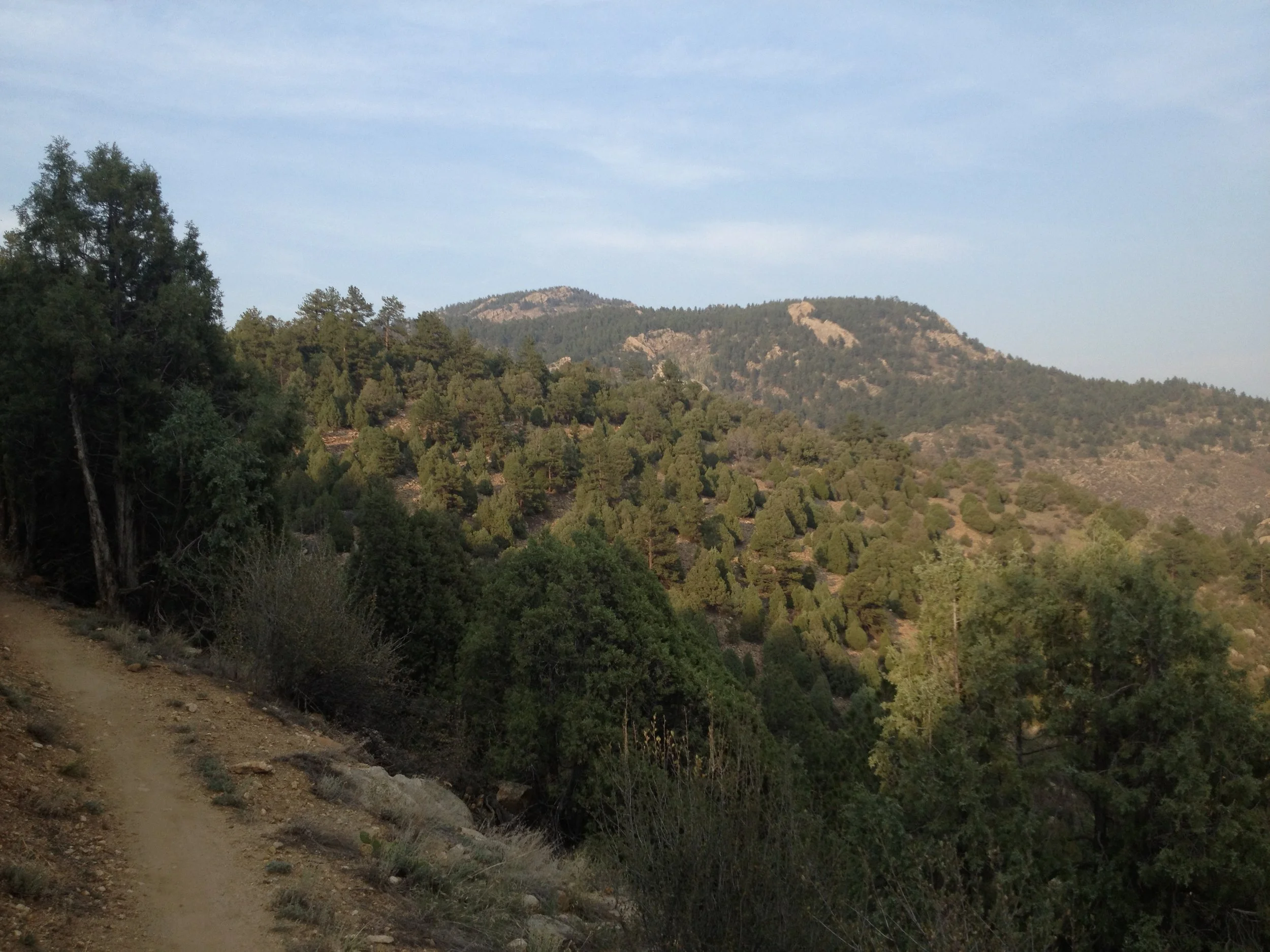 MayhemIMG_3314.jpg