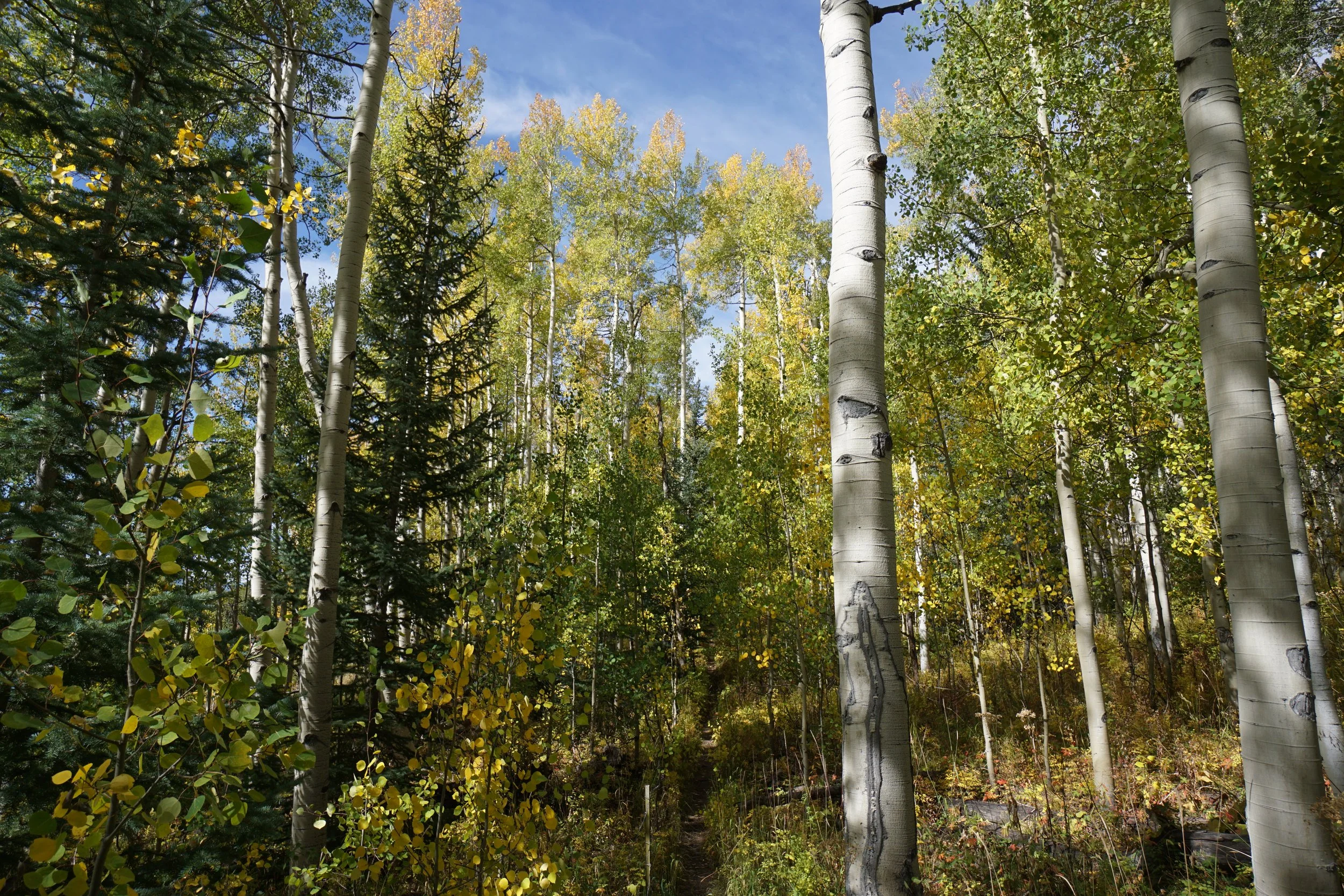 Eagle LakeDSC06936.JPG