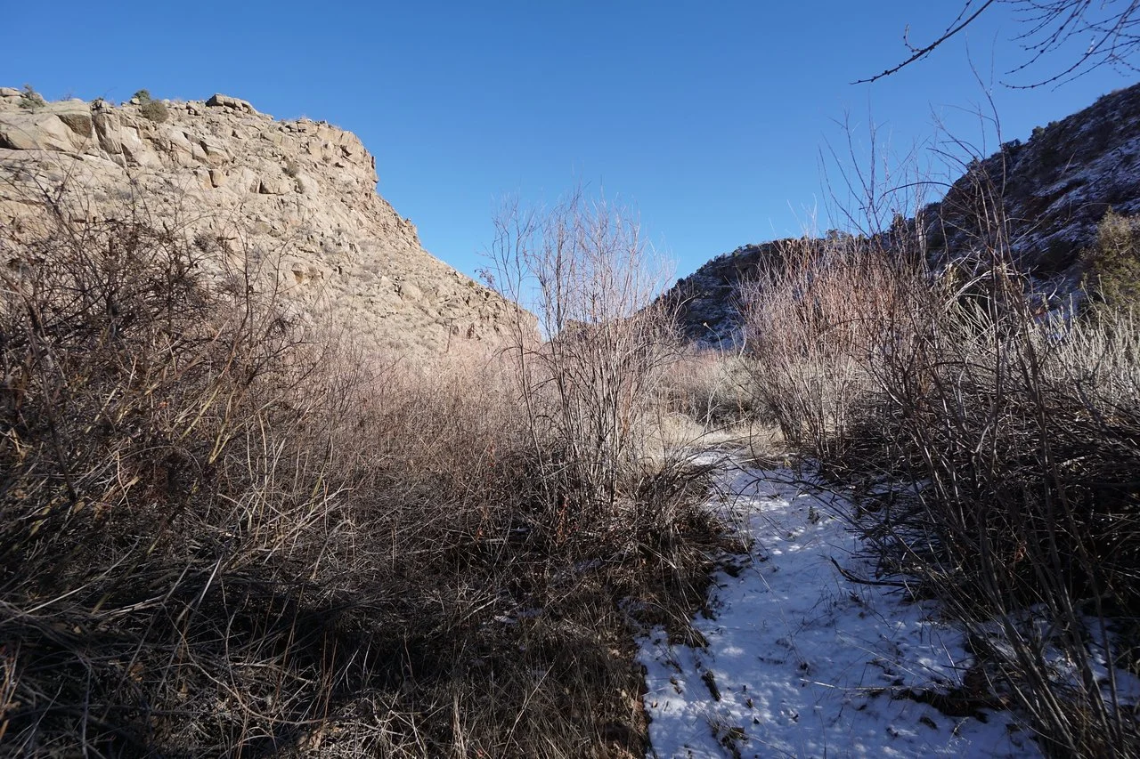 DSC00967-X2.jpg