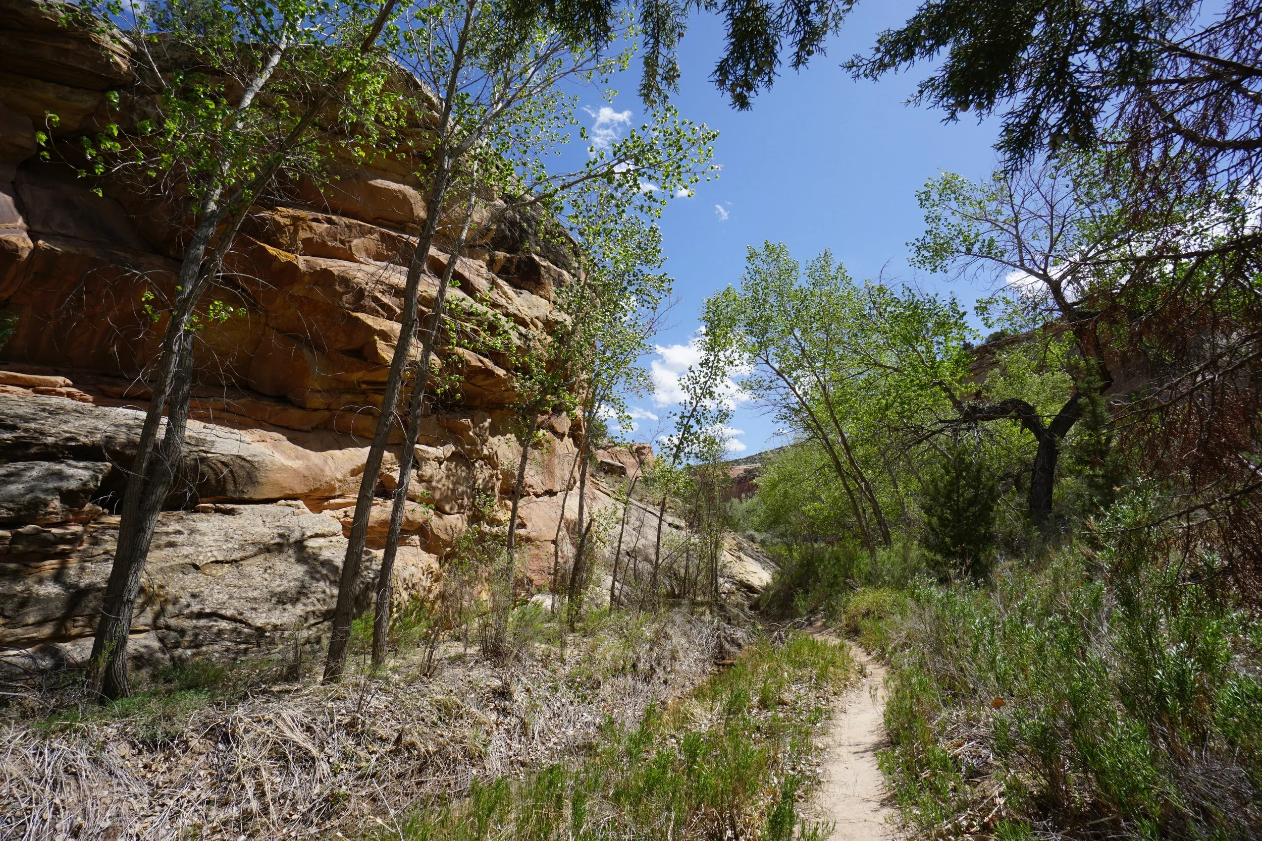 EchoCanyonCOLMDSC06172.JPG