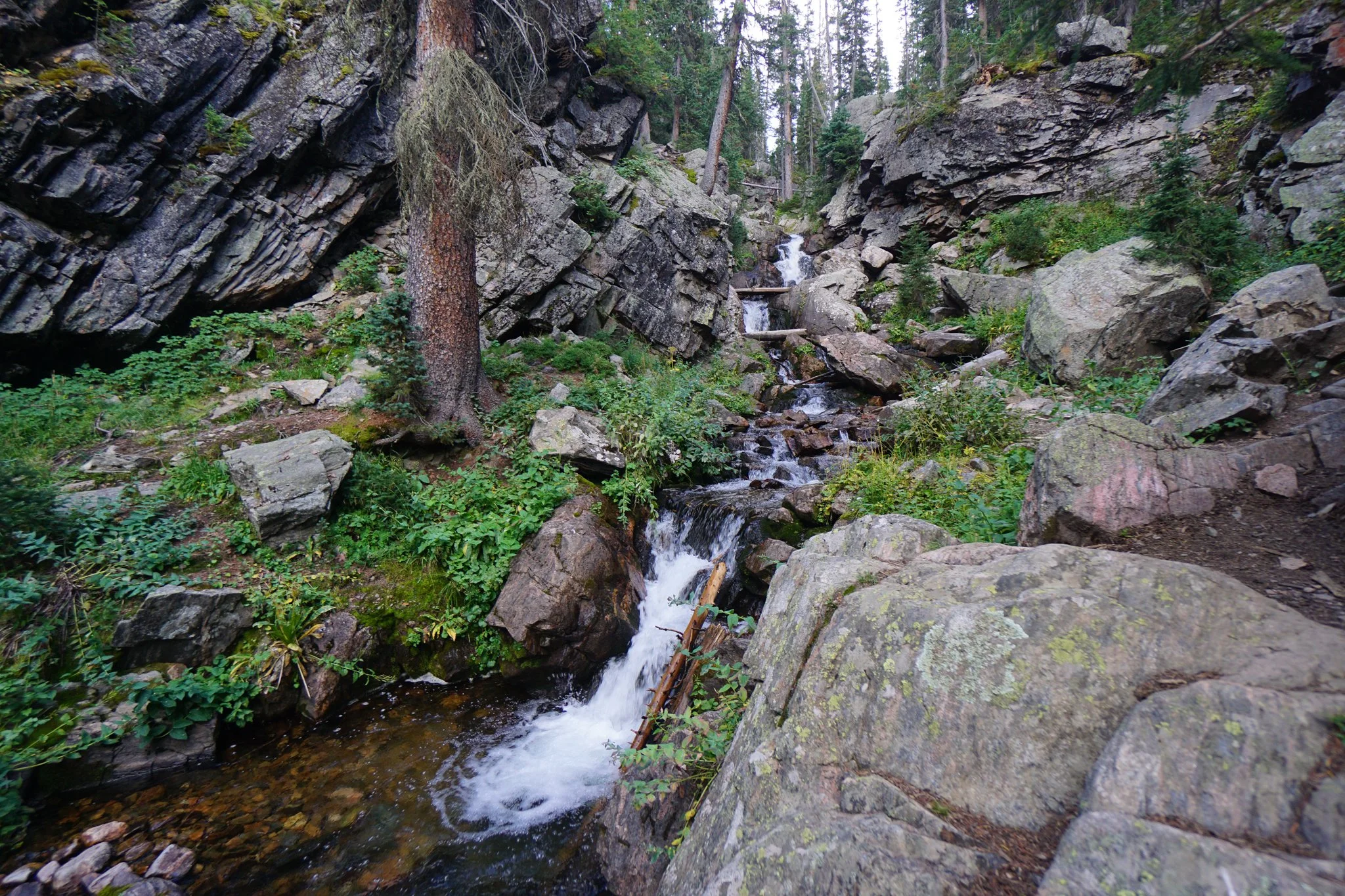 DSC04212-2.jpg