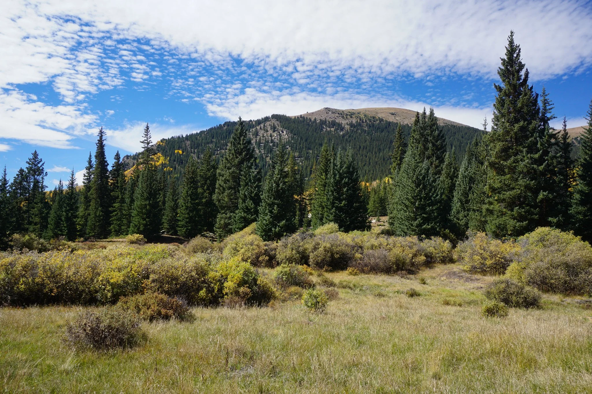 AbyssTrailDSC04968-2.jpg