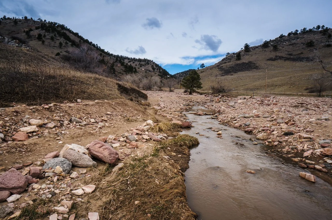 DSC08625-1 copy-X2.jpg