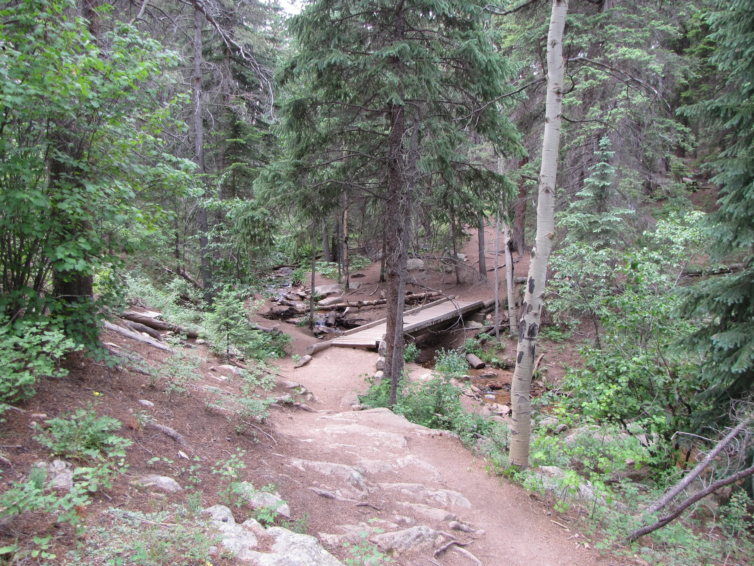 MaxwellFallsIMG_0456.jpg
