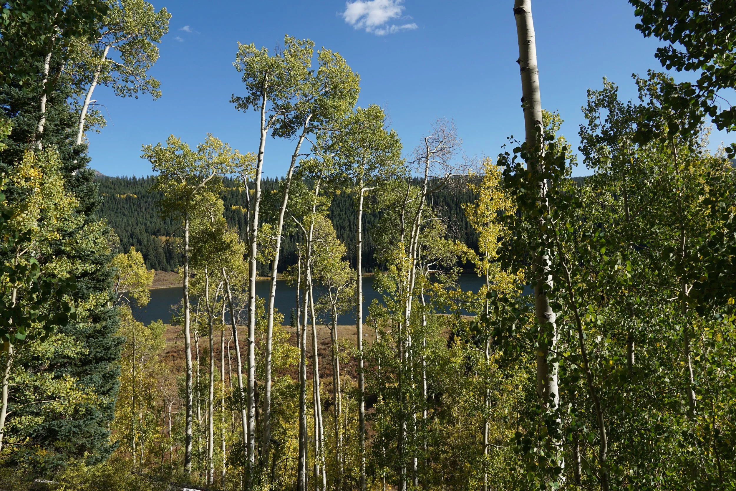 Eagle LakeDSC06616.JPG