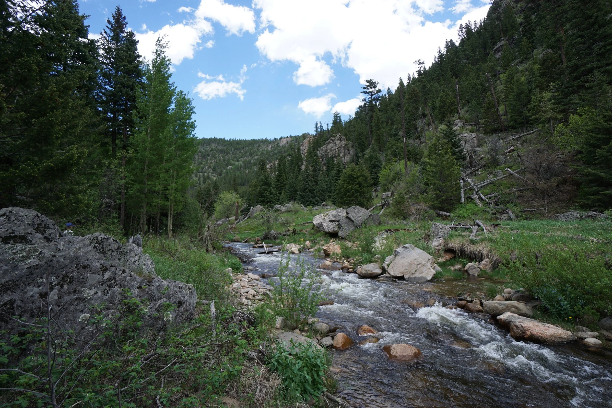 NorthForkCPWDSC03888-X5.jpg
